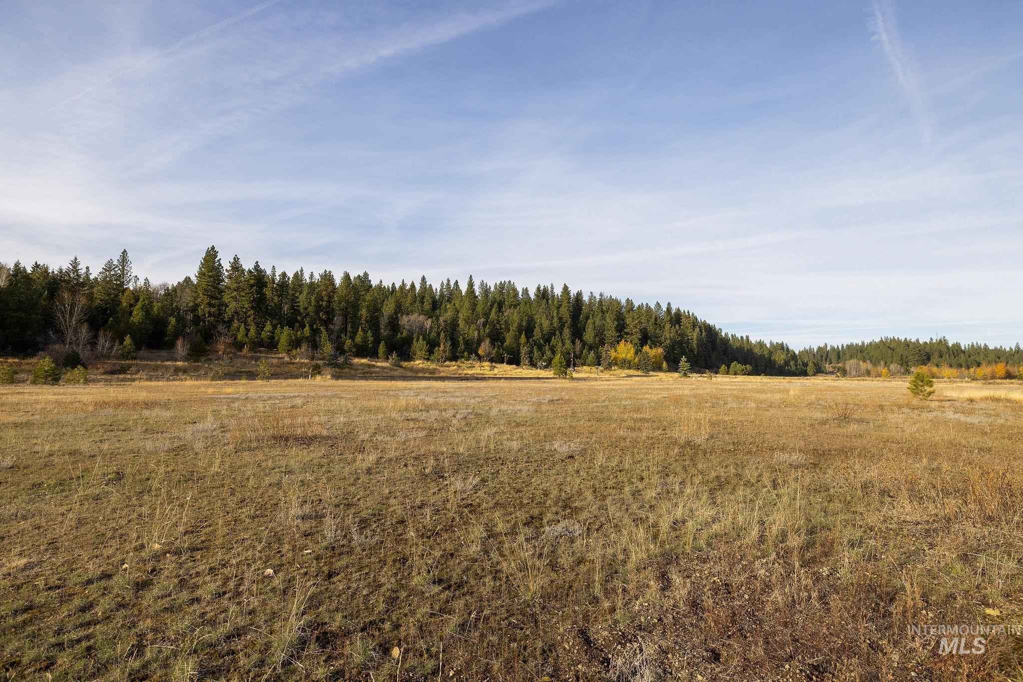 18 Arrowgrass Way, McCall, Idaho 83638, Land For Sale, Price $185,000,MLS 98967104