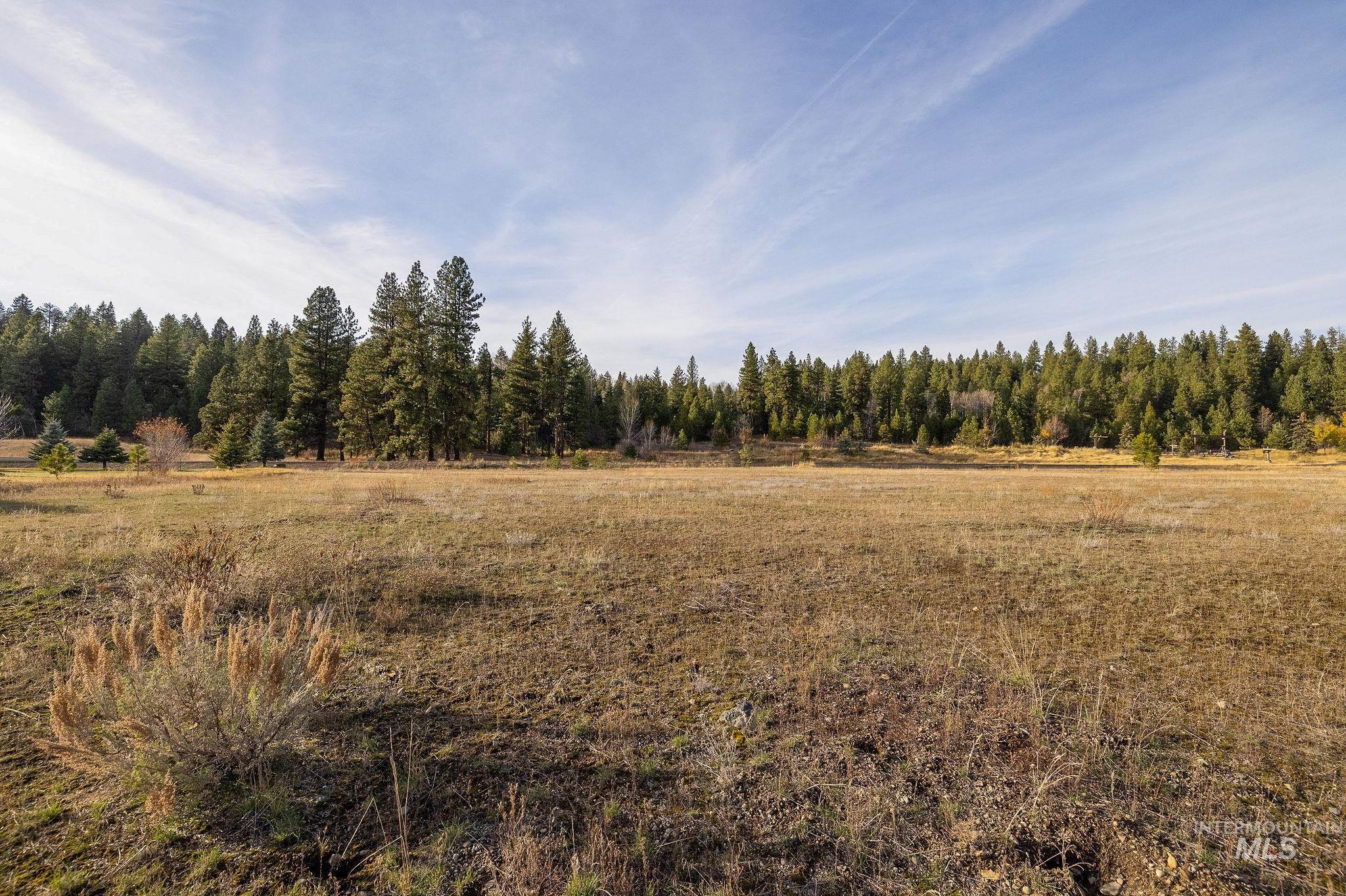 18 Arrowgrass Way, McCall, Idaho 83638, Land For Sale, Price $185,000,MLS 98967104