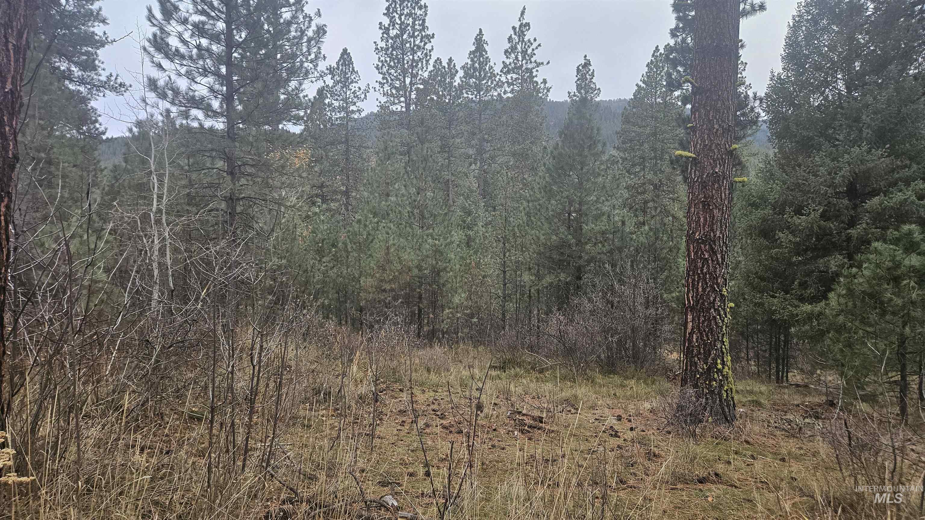 Lot 4 Boise Holcomb #3, Boise, Idaho 83716, Land For Sale, Price $170,000, 98967137