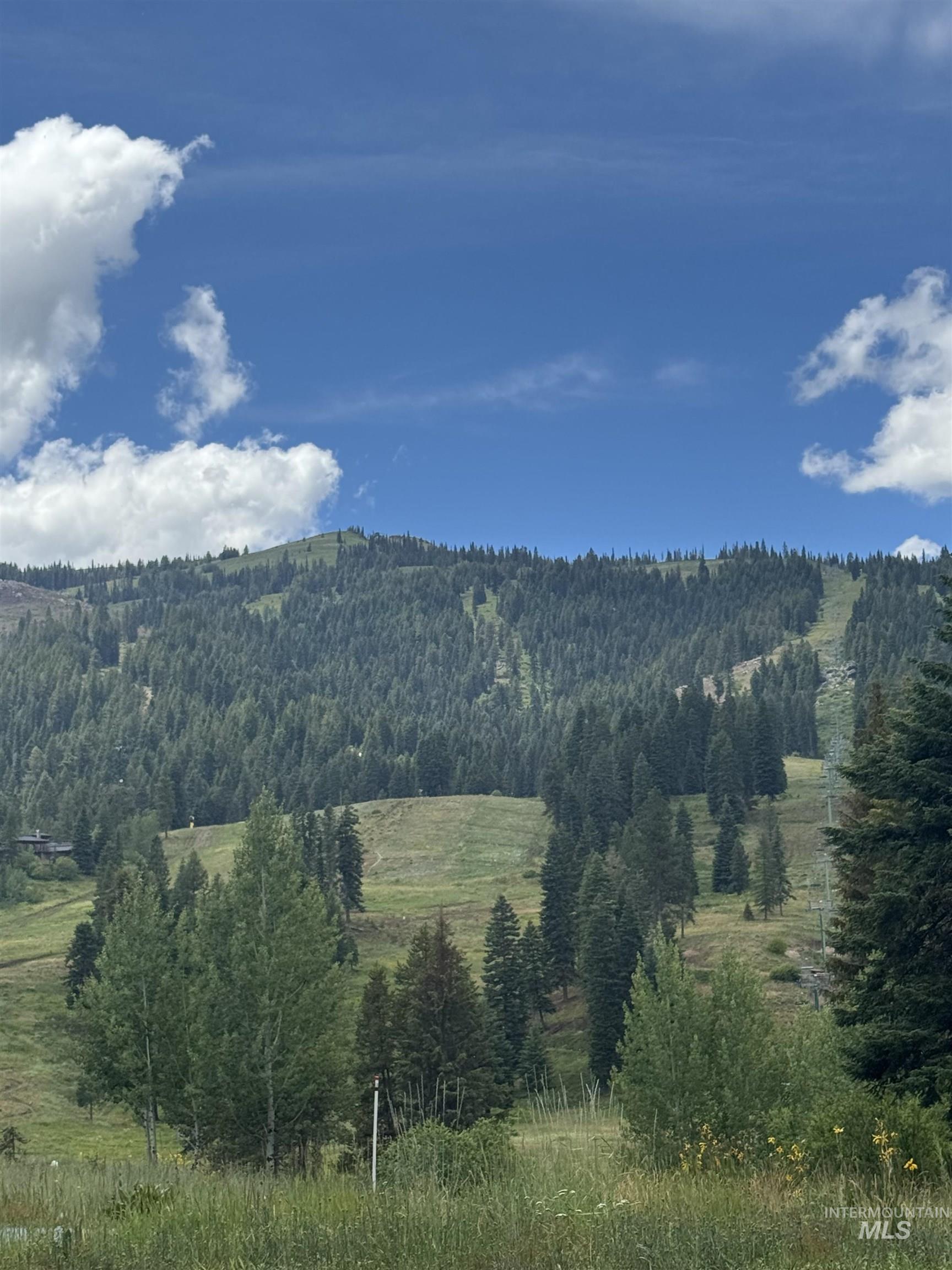 388 Charley Ln., Donnelly, Idaho 83615, 2 Bedrooms, 1 Bathroom, Residential For Sale, Price $1,295,000, 98967182