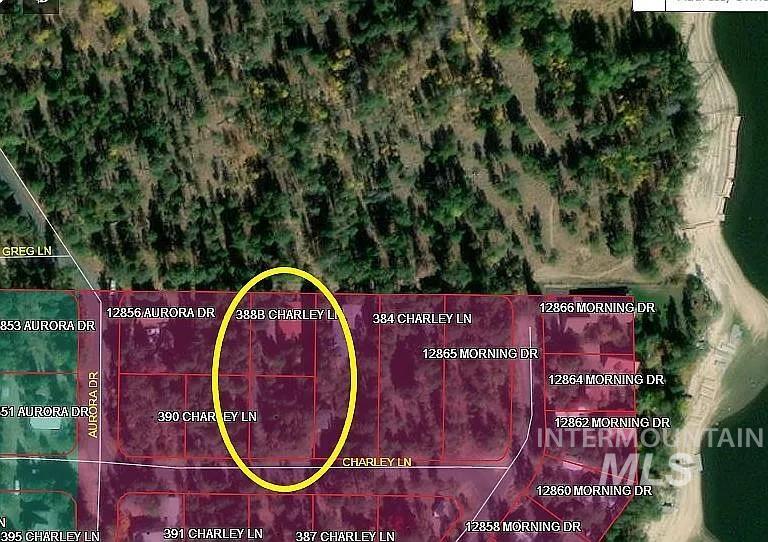 388 Charley Ln., Donnelly, Idaho 83615, 2 Bedrooms, 1 Bathroom, Residential For Sale, Price $1,295,000, 98967182