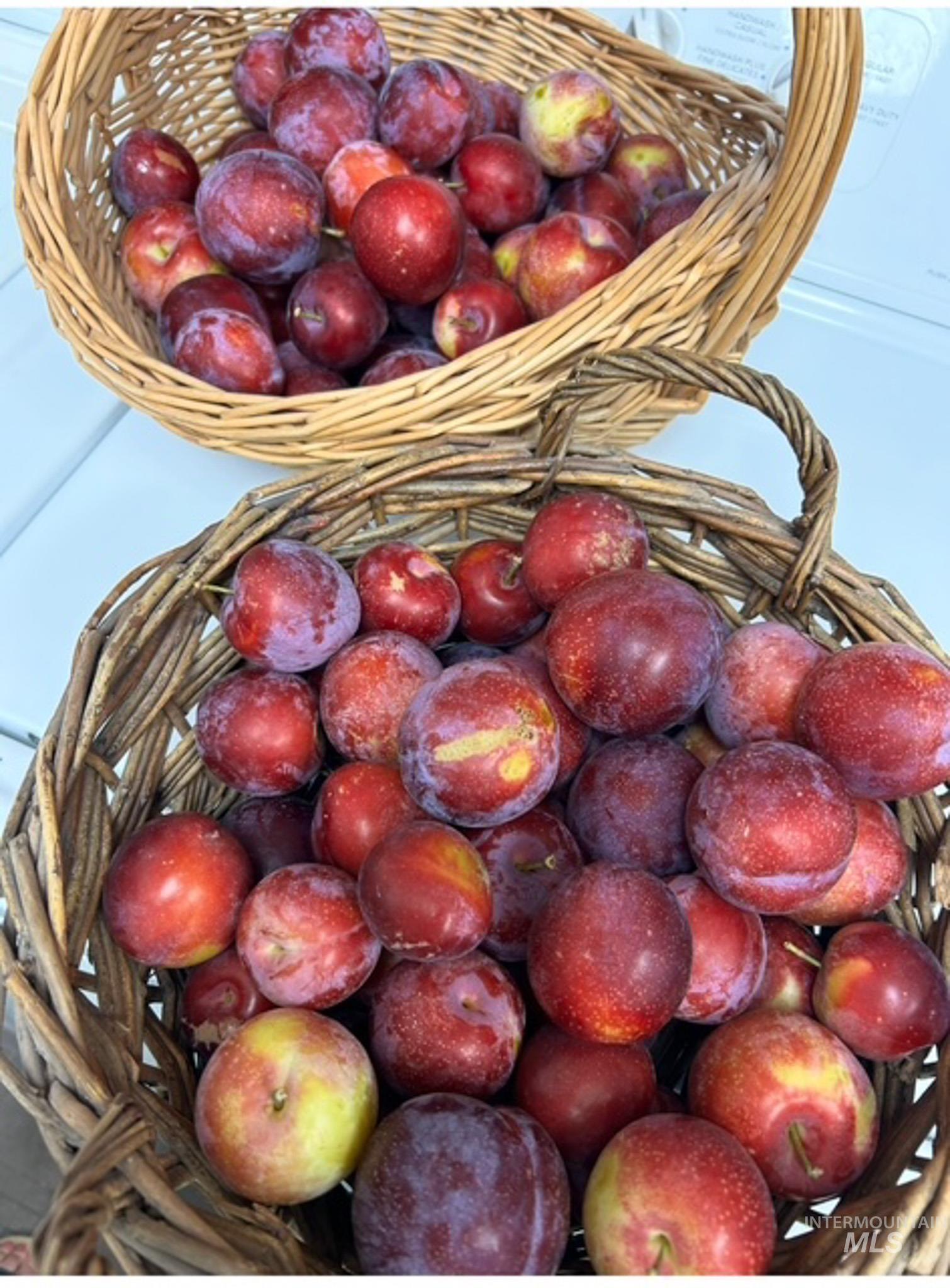 2676 S Velvet Falls Way, Meridian, Idaho 83642, 5 Bedrooms, 3 Bathrooms, Residential For Sale, Price $759,900,MLS 98967195