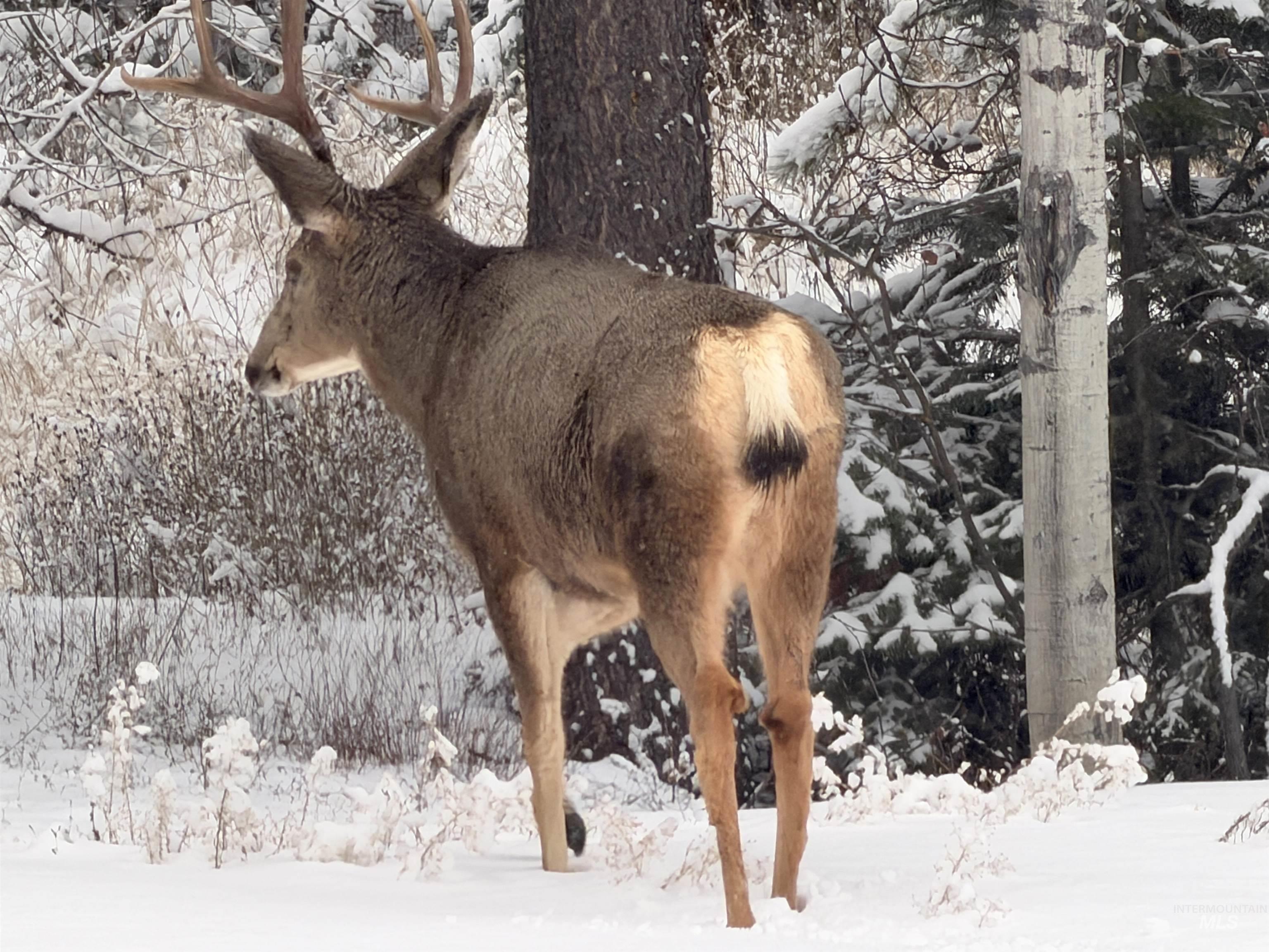 327 Silverpine Drive, McCall, Idaho 83638, 2 Bedrooms, 3 Bathrooms, Residential For Sale, Price $669,000,MLS 98967241