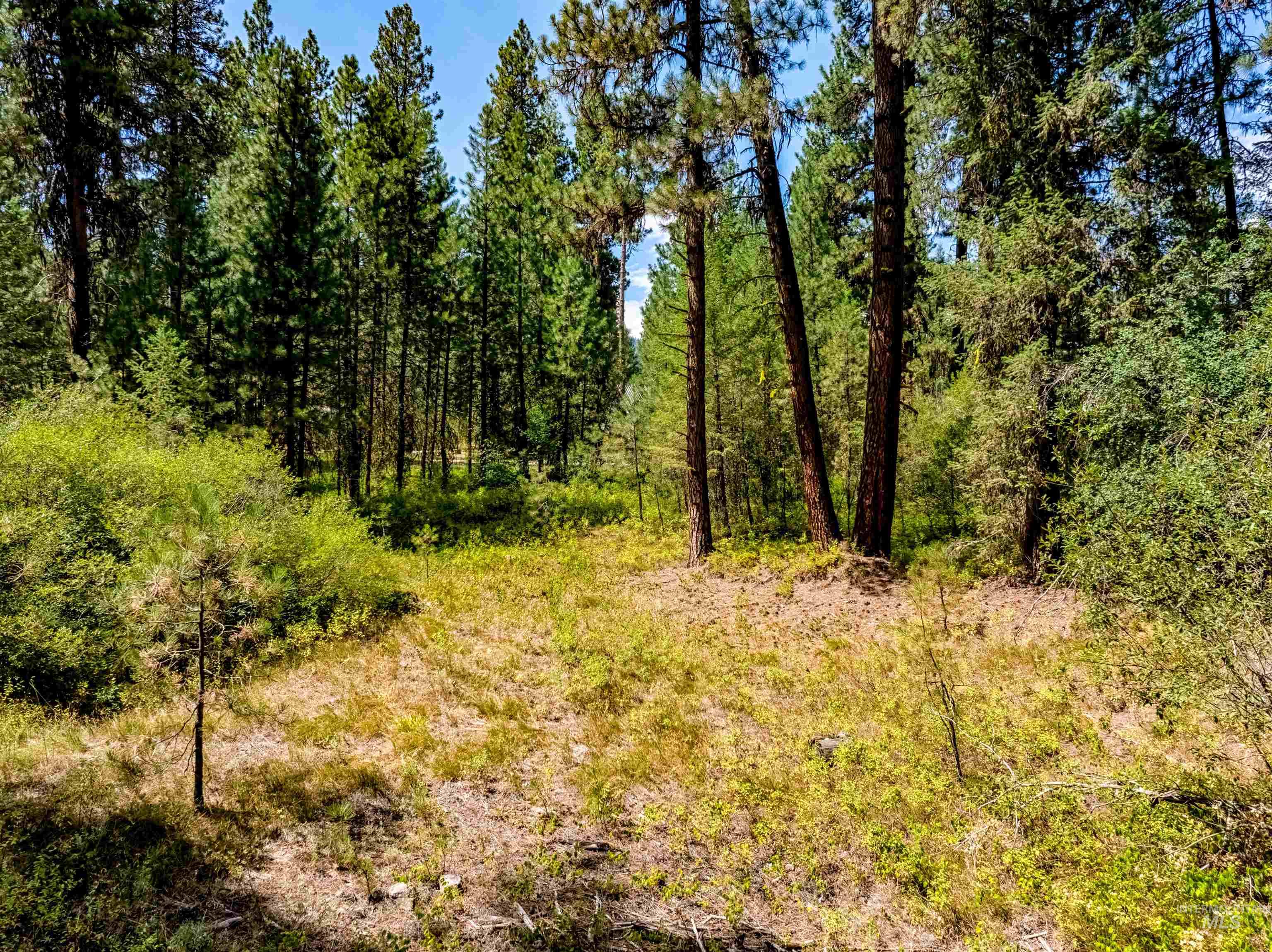 LOT 32 Boise Holcomb Sub 3, Boise, Idaho 83716, Land For Sale, Price $149,000, 98967265