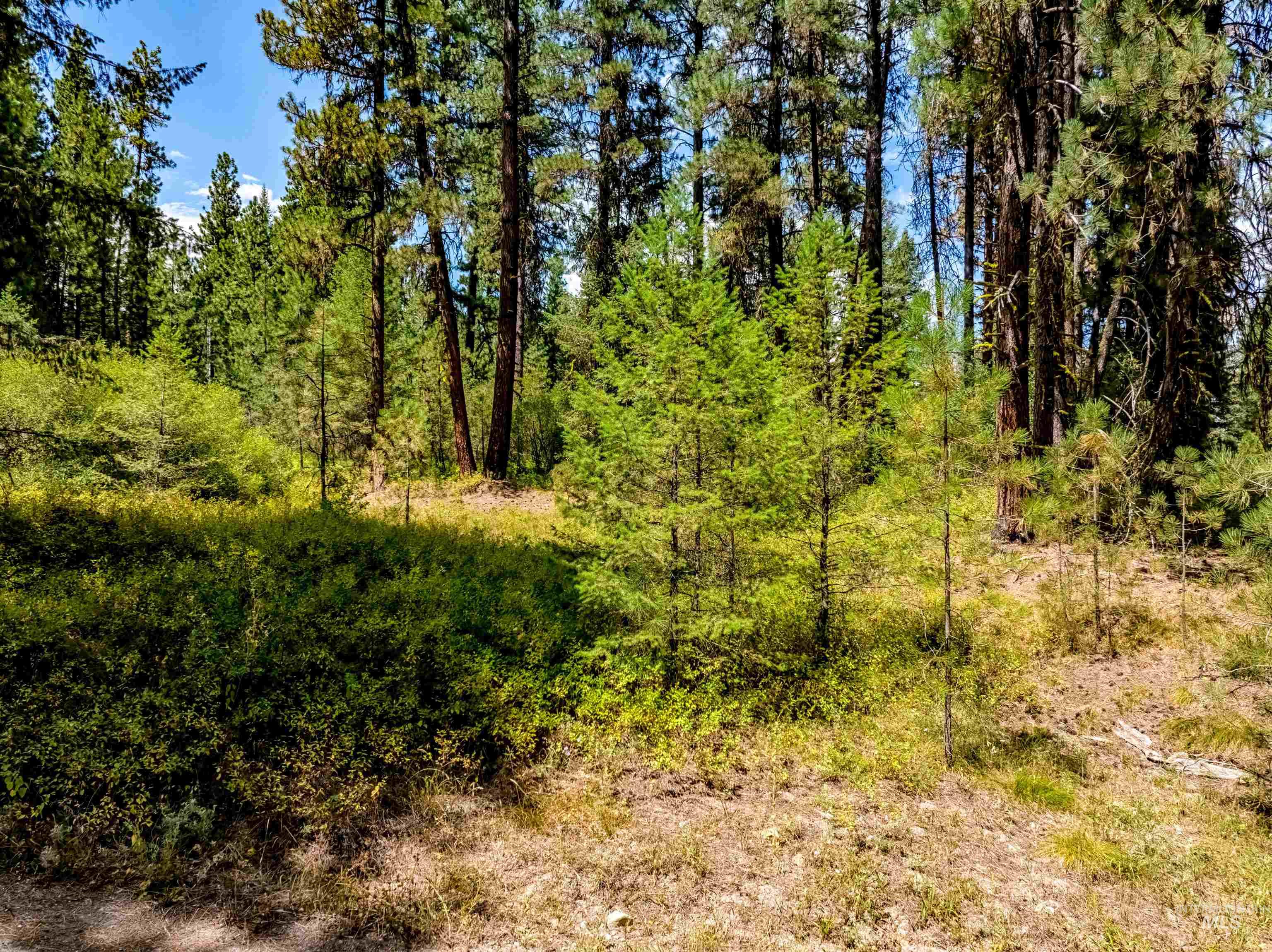 LOT 32 Boise Holcomb Sub 3, Boise, Idaho 83716, Land For Sale, Price $149,000, 98967265