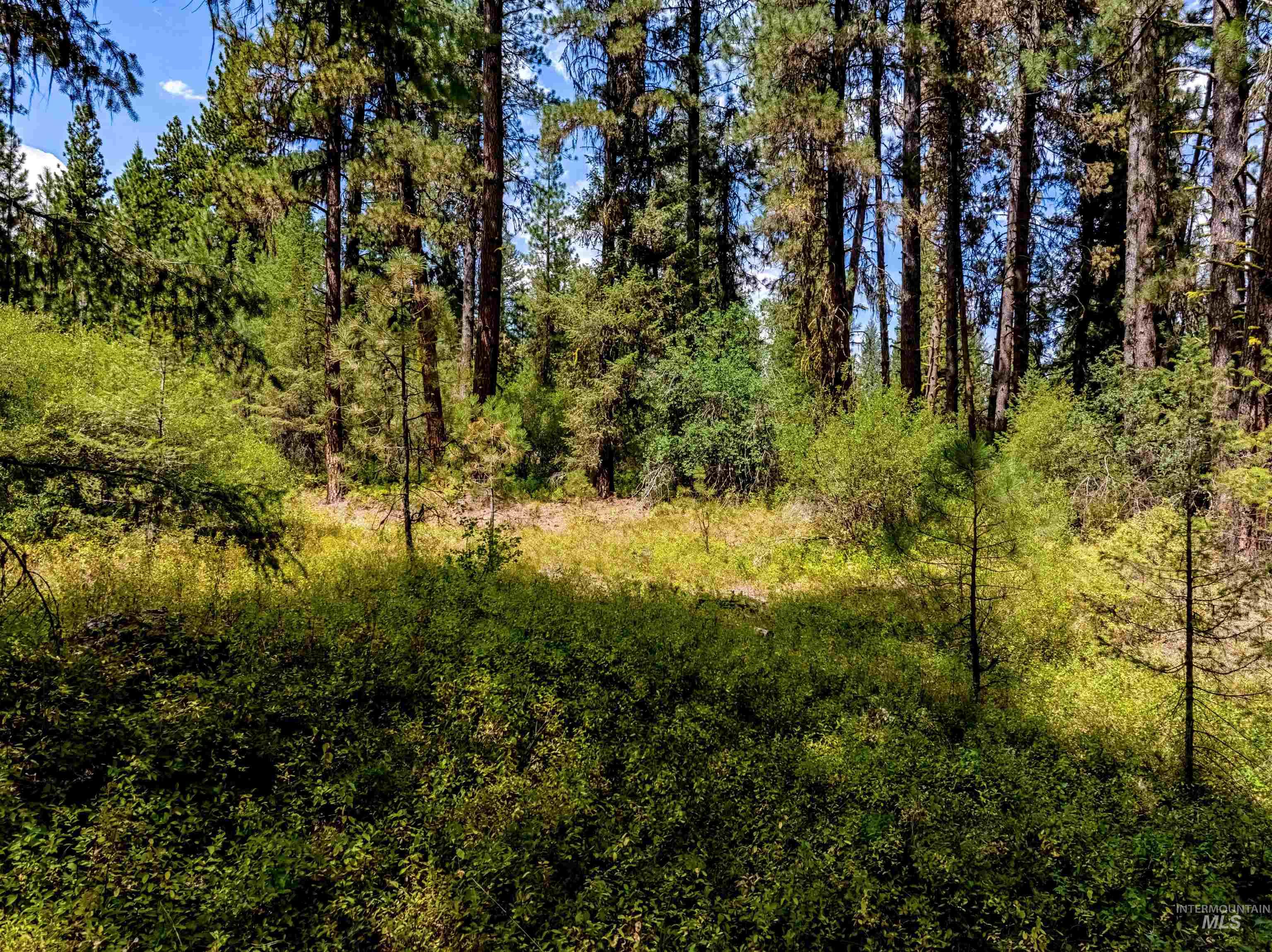 LOT 32 Boise Holcomb Sub 3, Boise, Idaho 83716, Land For Sale, Price $149,000, 98967265