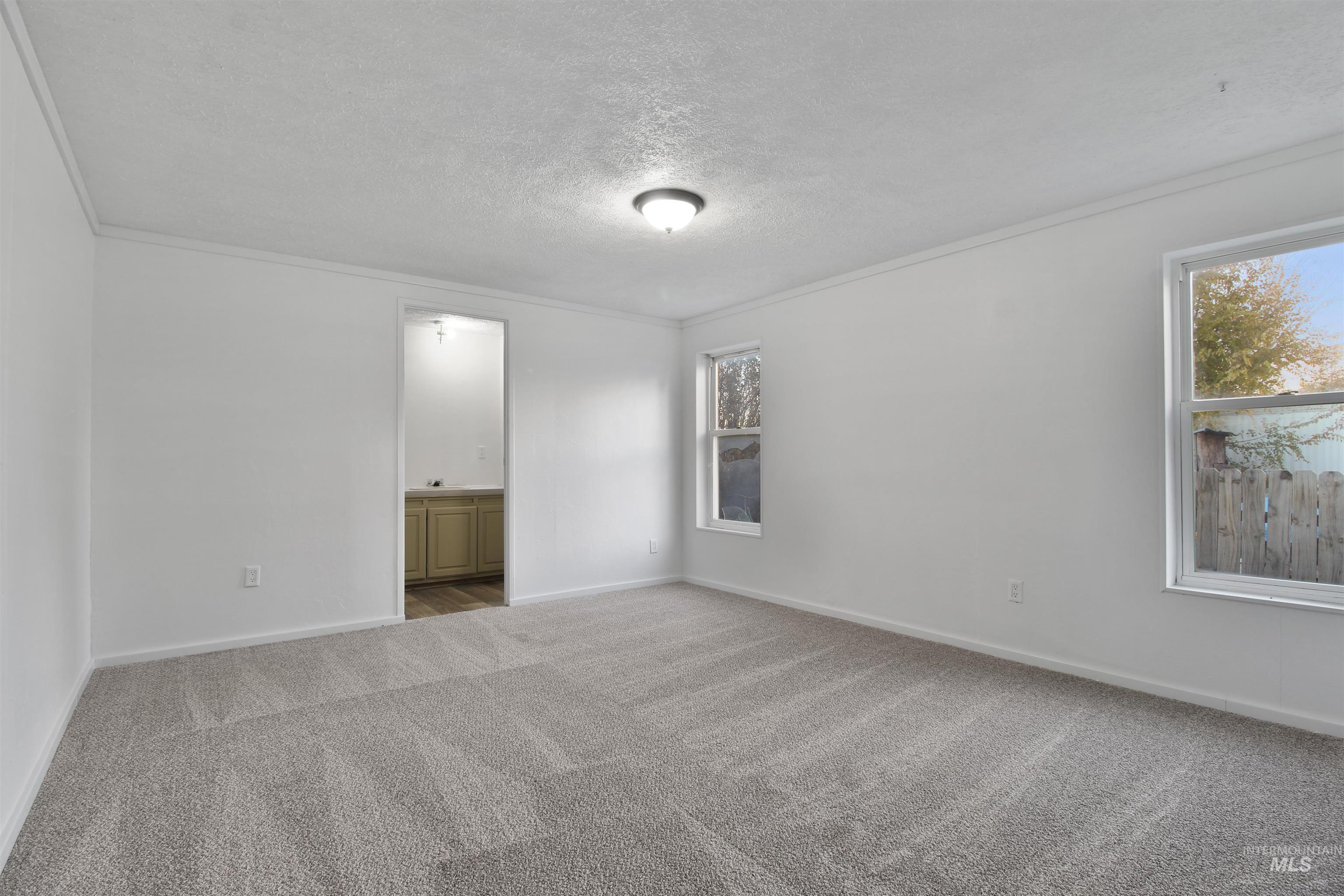 Spare room featuring crown molding, carpet flooring, a textured ceiling, and healthy amount of natural light