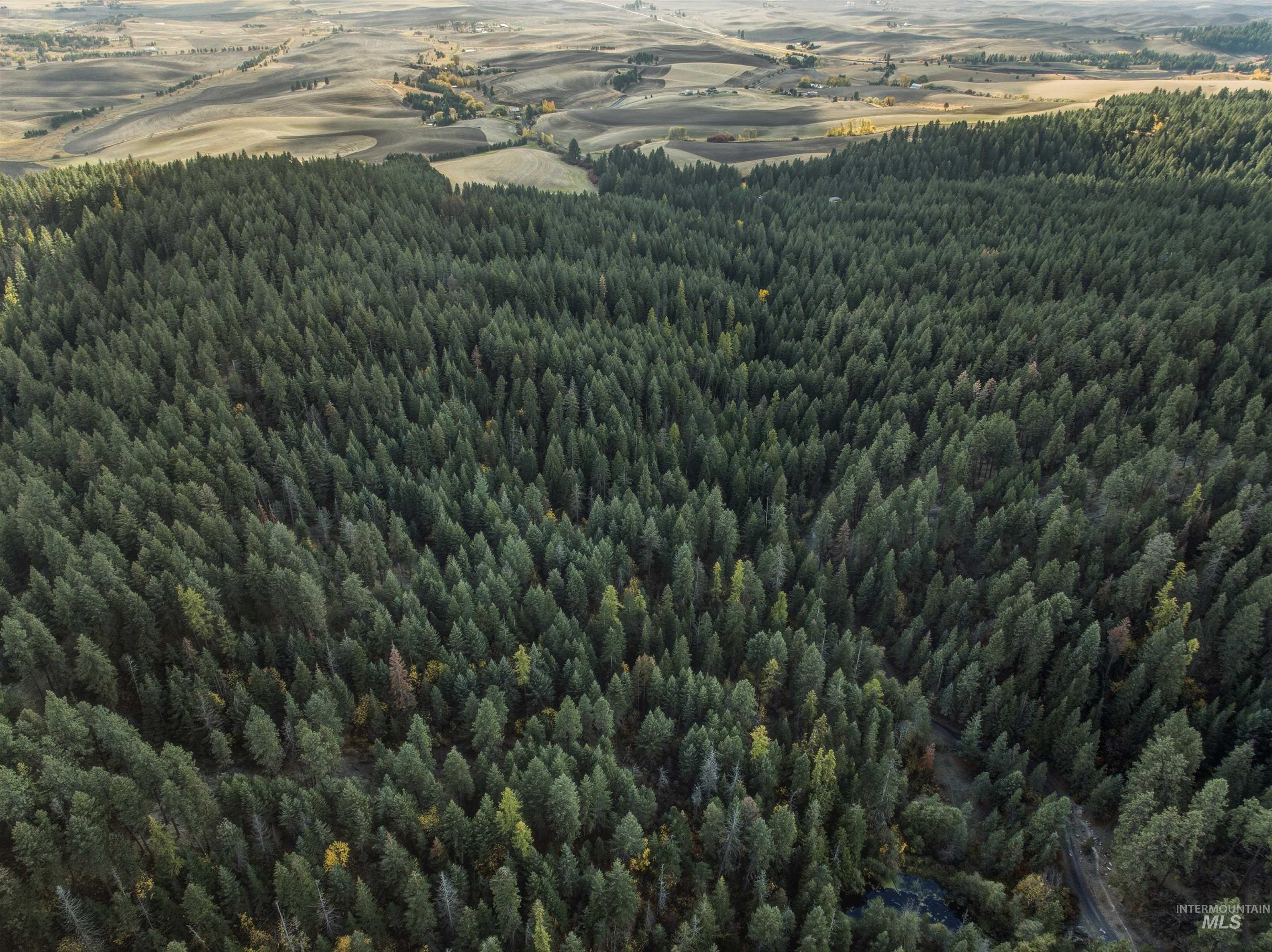 TBD Foothill Rd, Moscow, Idaho 83843, Land For Sale, Price $60,000, 98967331