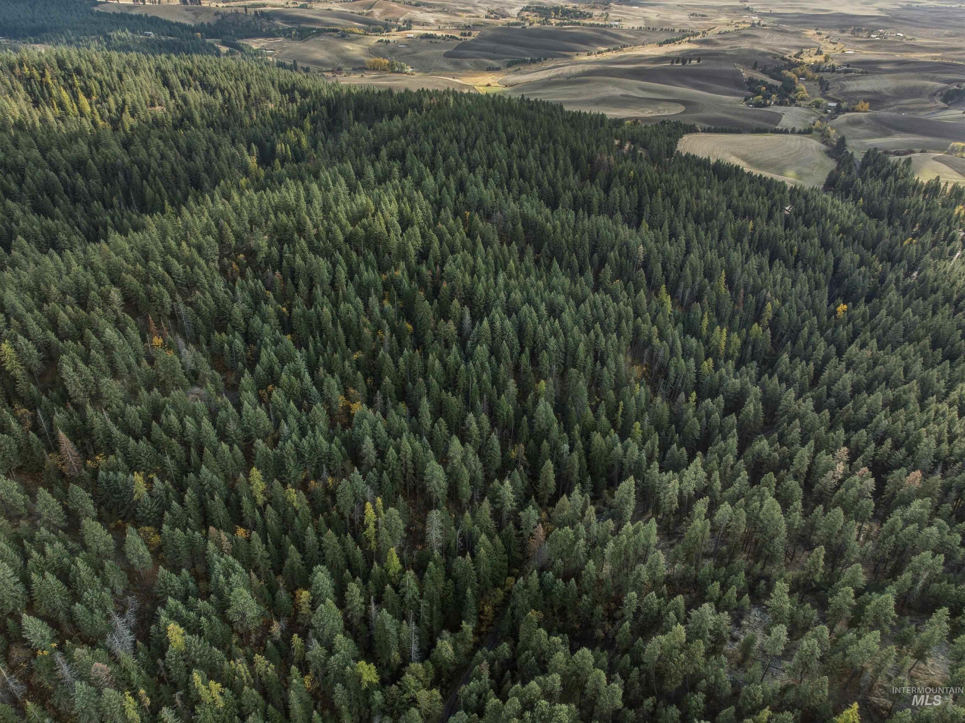 TBD Foothill Rd, Moscow, Idaho 83843, Land For Sale, Price $60,000, 98967331