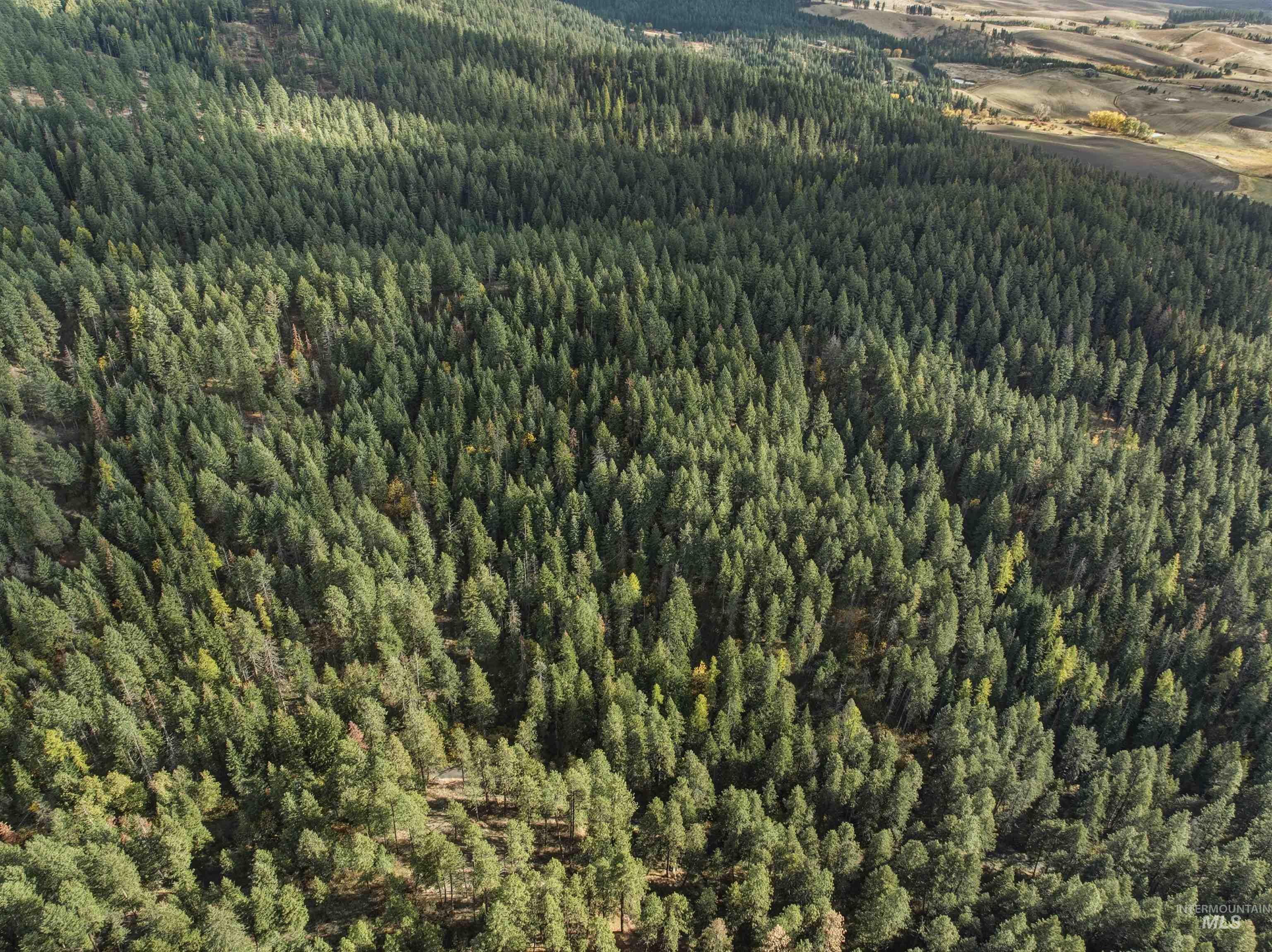 TBD Foothill Rd, Moscow, Idaho 83843, Land For Sale, Price $60,000, 98967331