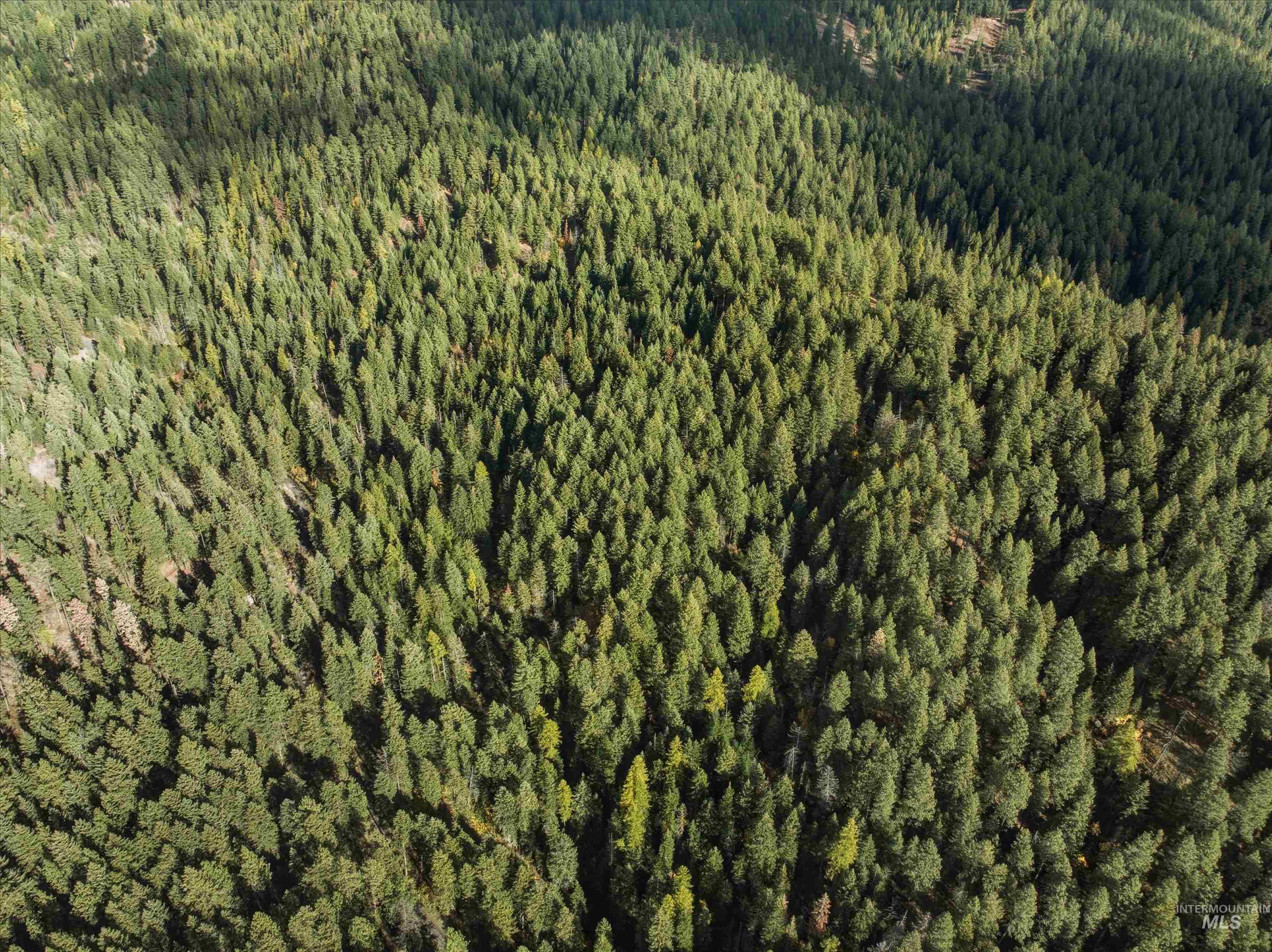 TBD Foothill Rd, Moscow, Idaho 83843, Land For Sale, Price $60,000, 98967331
