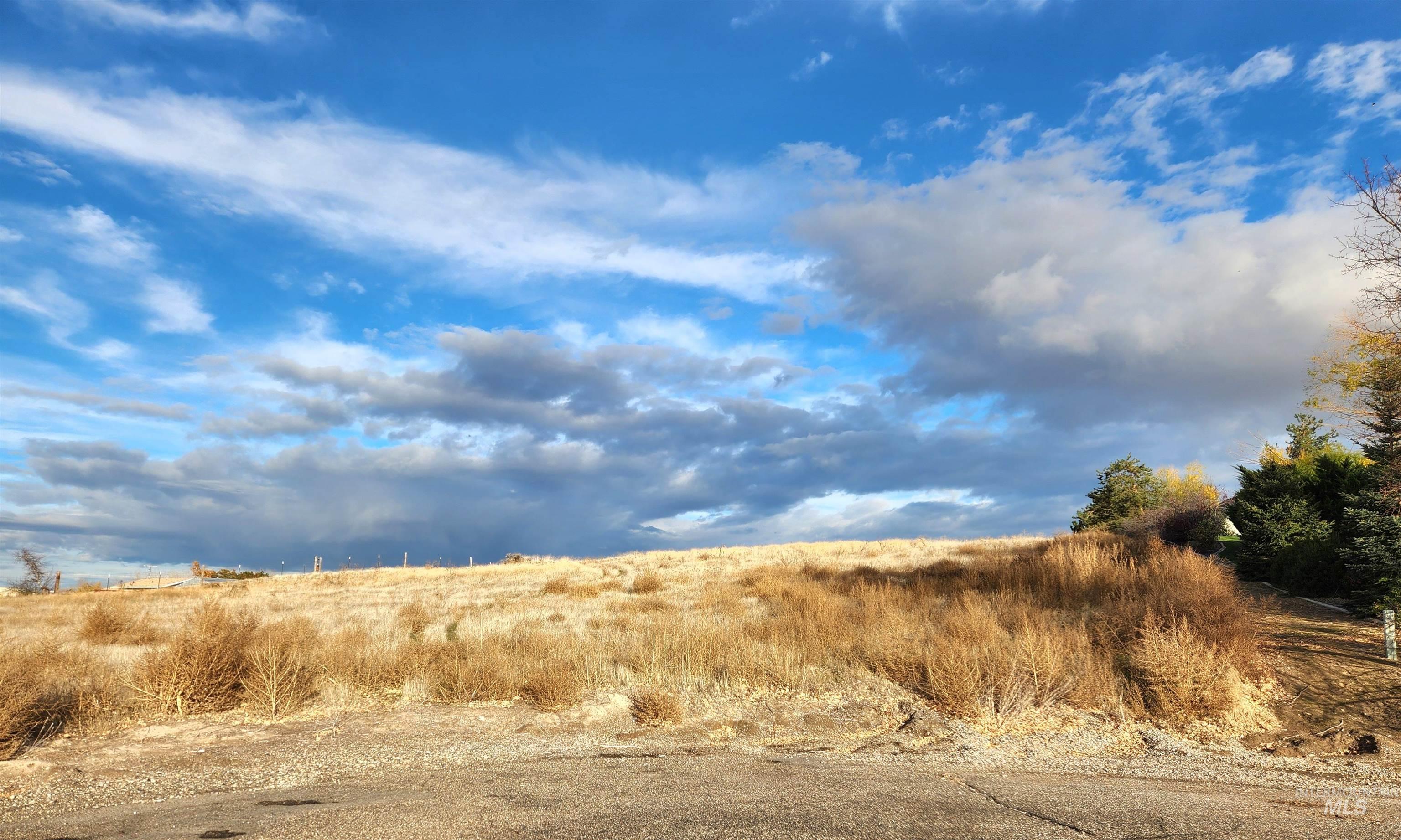 TBD Casa Rio Dr - Tax Lot 7800, Ontario, Oregon 97914, Land For Sale, Price $99,000, 98967394