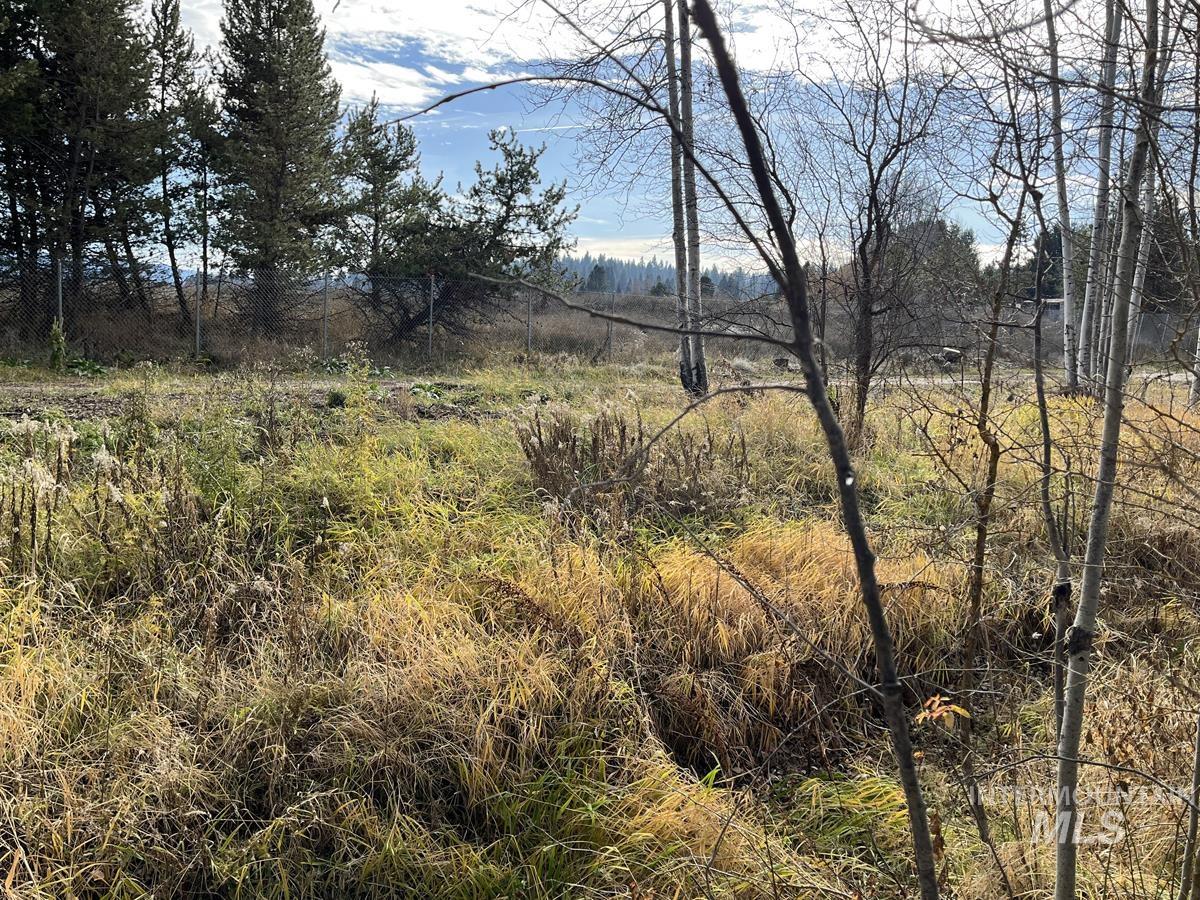 25 F Street, Cascade, Idaho 83611, Land For Sale, Price $110,000, 98967411