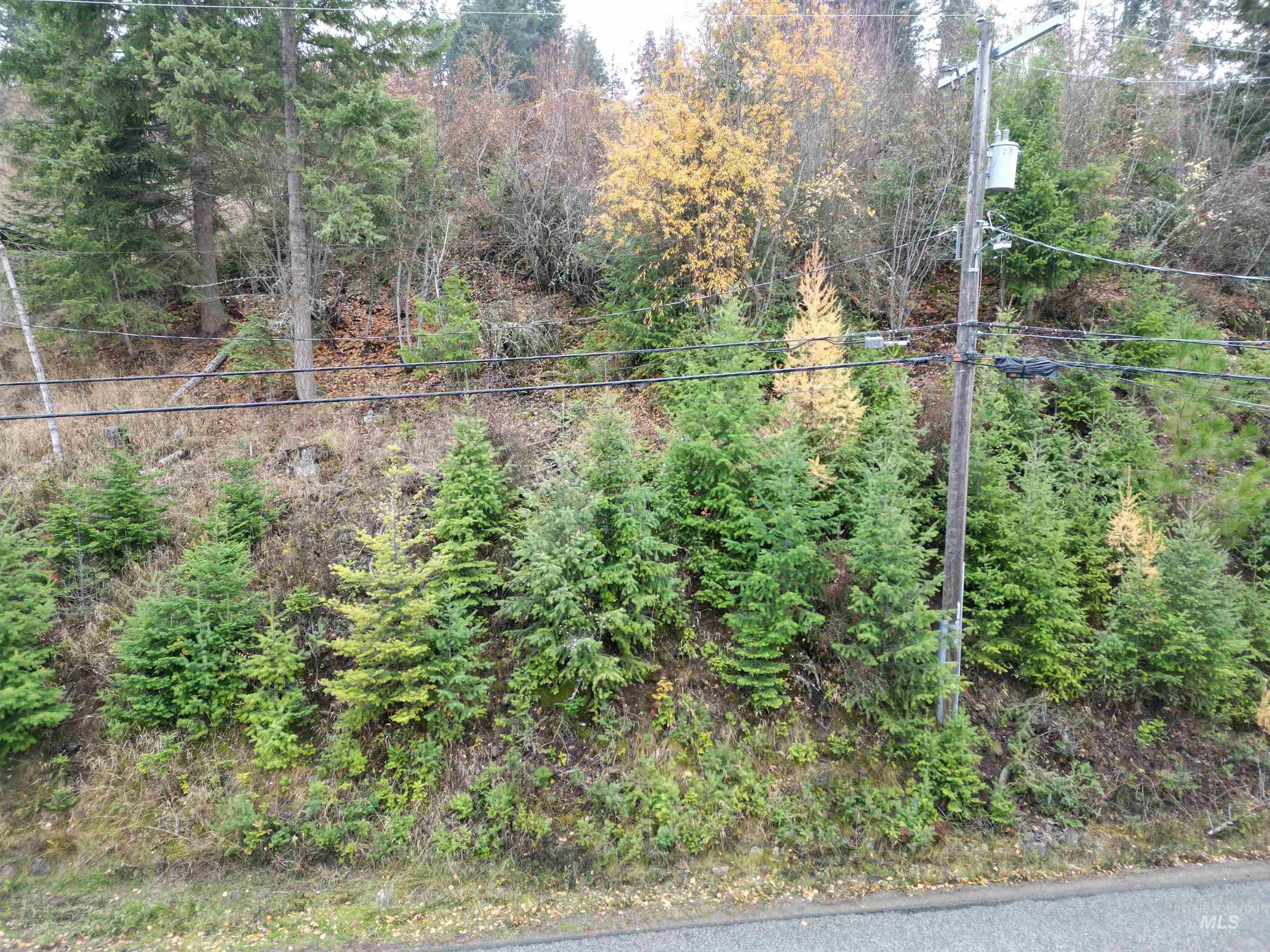 NKA E Upper Hayden Lake Rd., Hayden, Idaho 83835, Land For Sale, Price $199,000,MLS 98967426