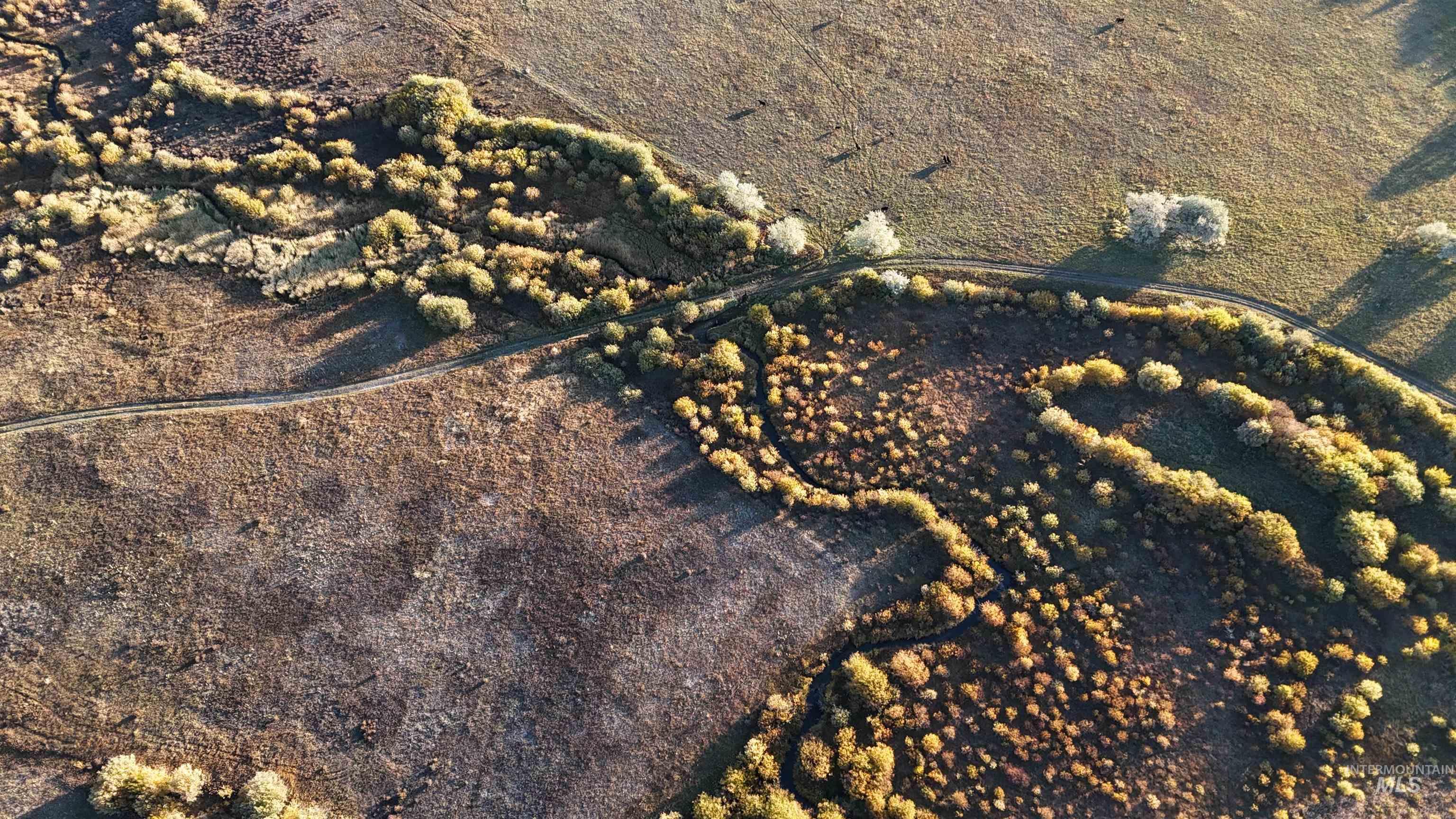 TBD Highway 20, Bellevue, Idaho 83313, Farm & Ranch For Sale, Price $1,350,000, 98967485