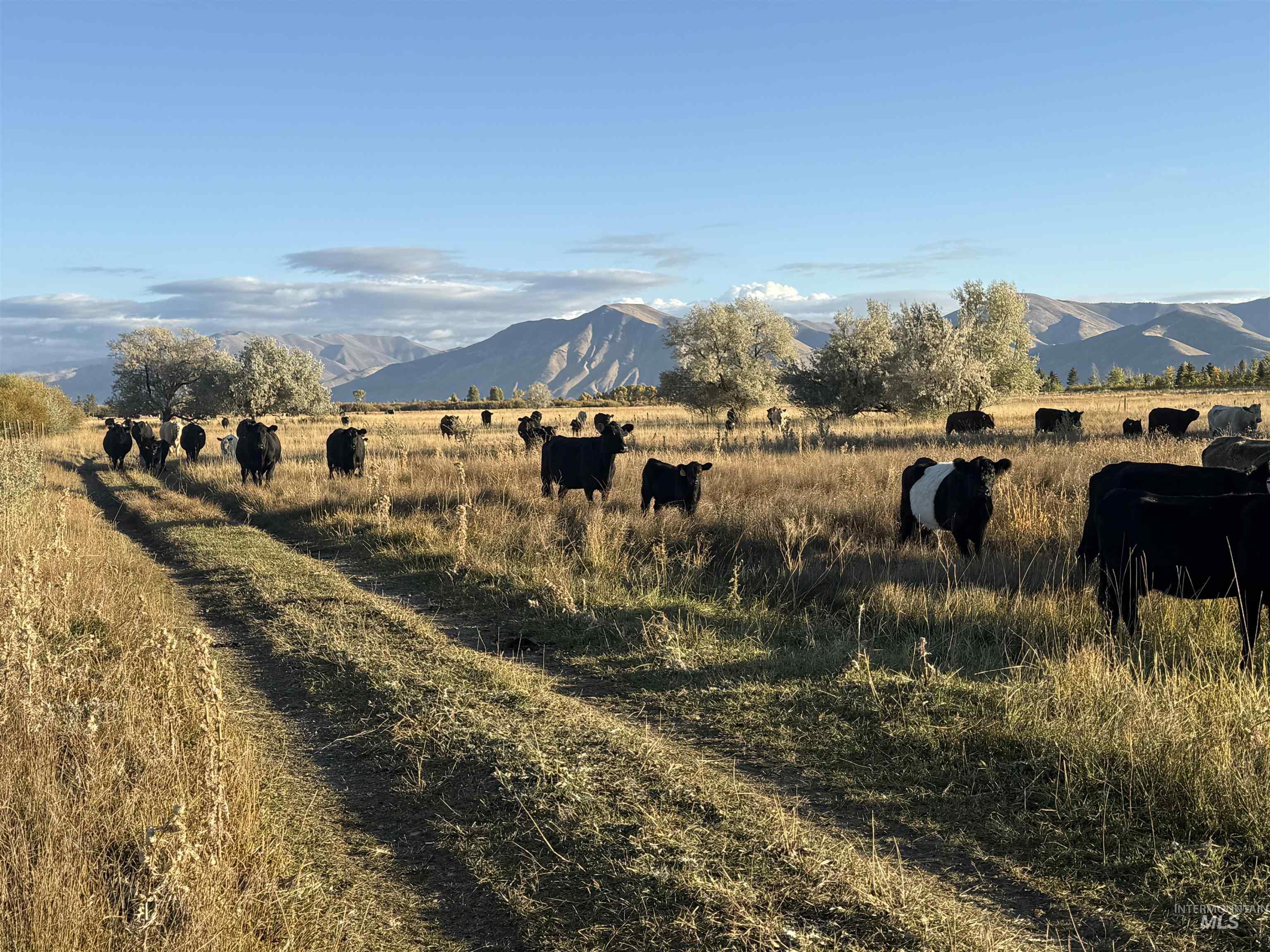 TBD Highway 20, Bellevue, Idaho 83313, Farm & Ranch For Sale, Price $1,350,000, 98967485