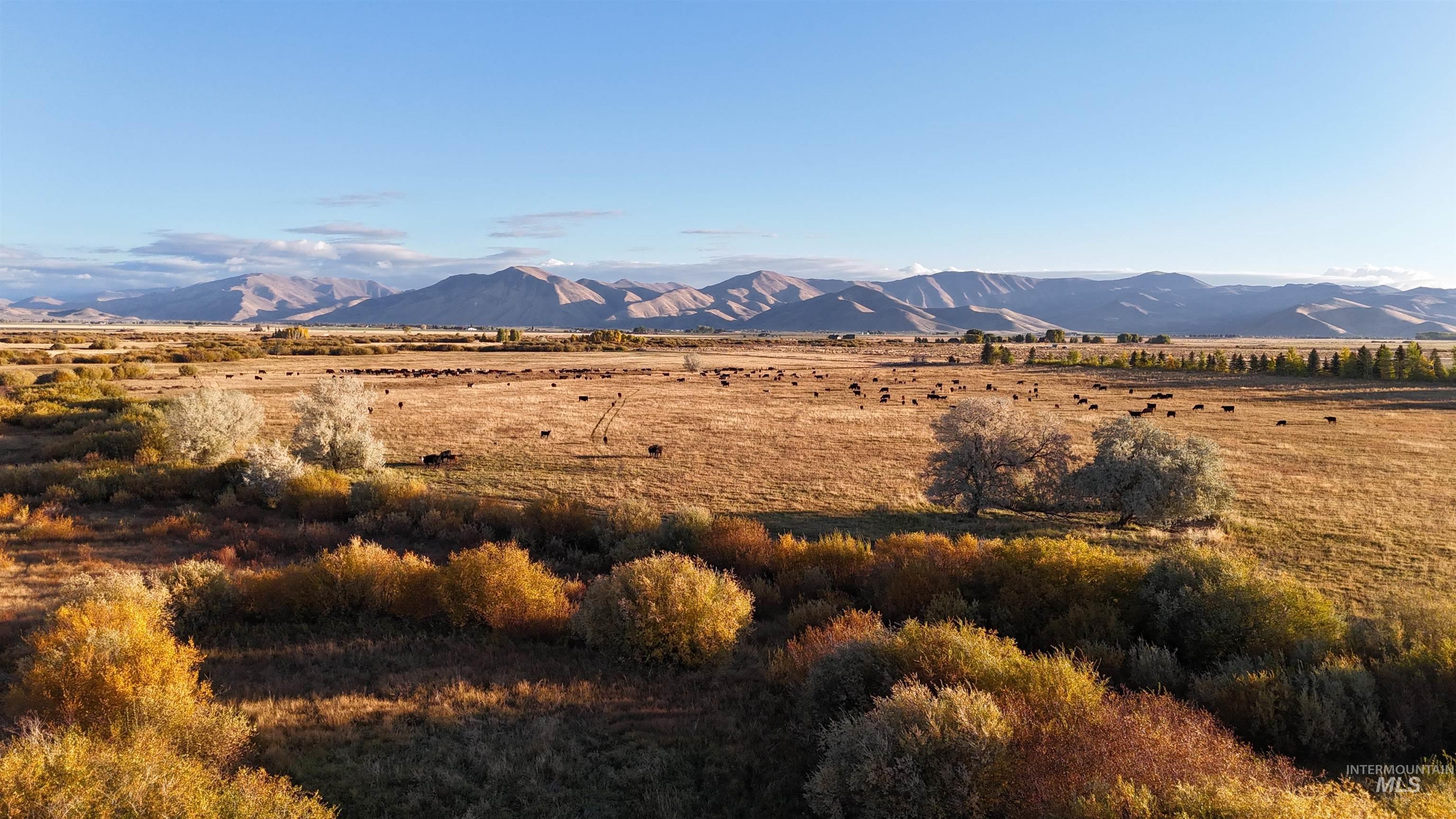 TBD Highway 20, Bellevue, Idaho 83313, Farm & Ranch For Sale, Price $1,350,000, 98967485