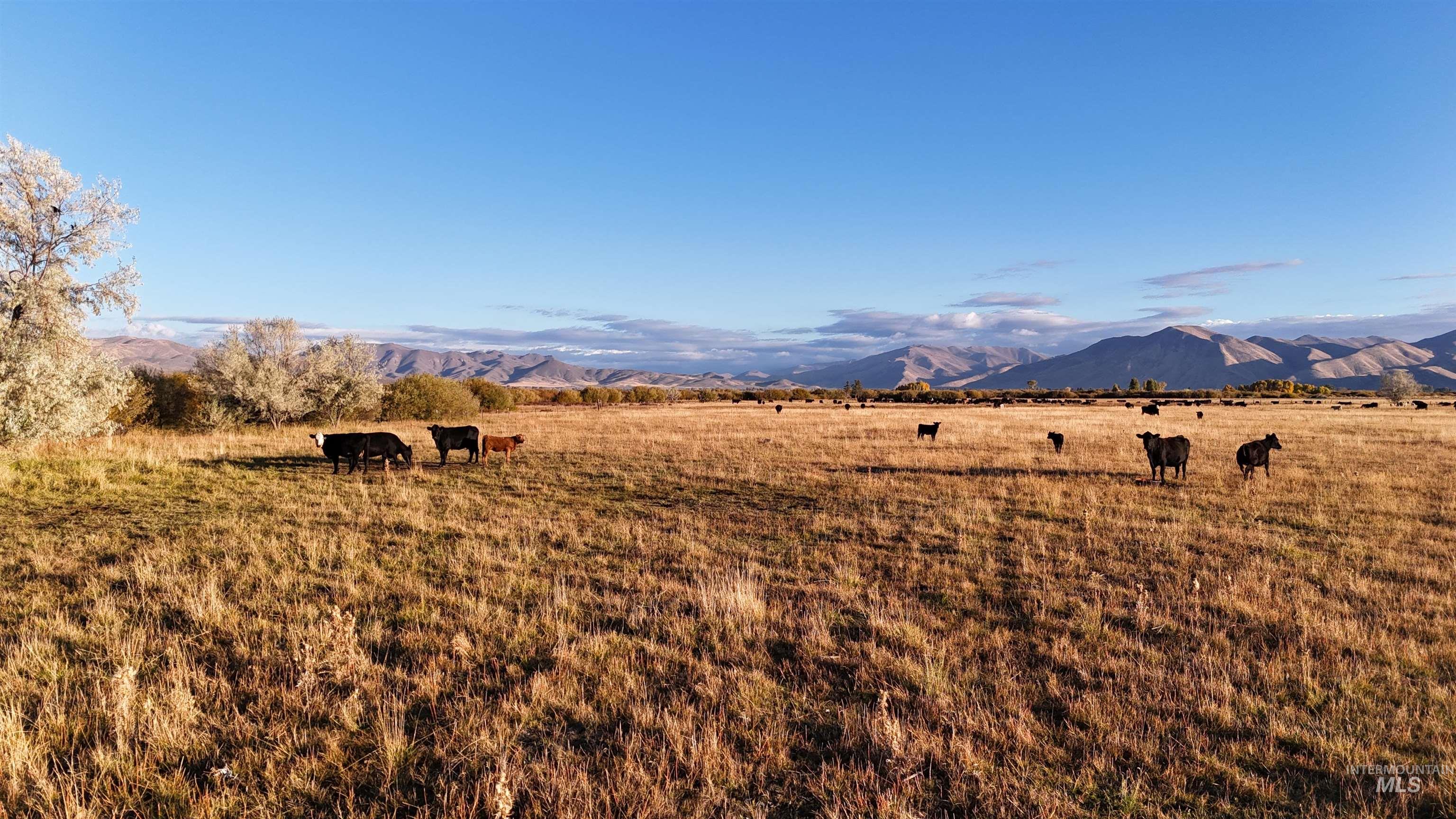 TBD Highway 20, Bellevue, Idaho 83313, Farm & Ranch For Sale, Price $1,350,000, 98967485