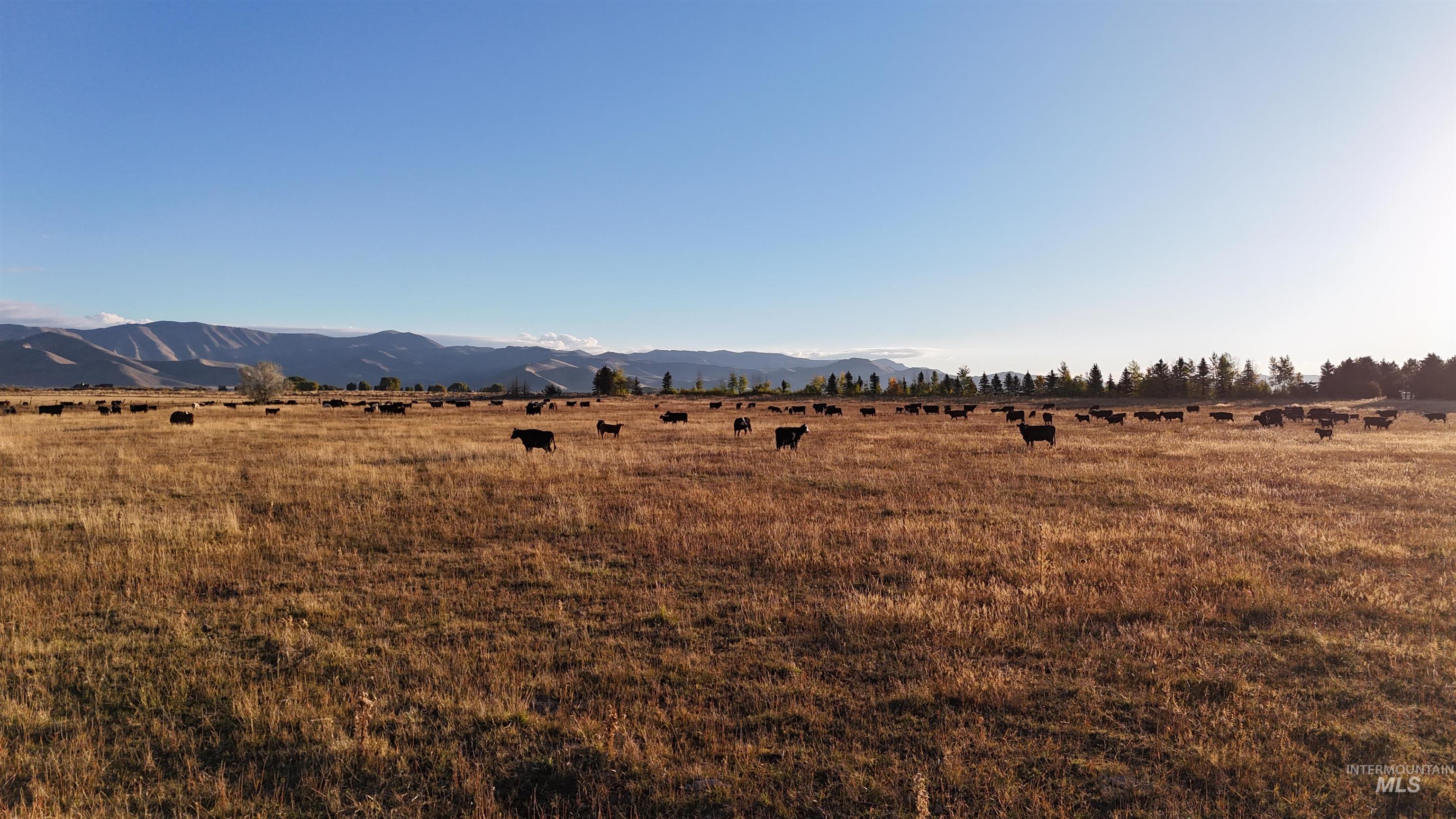 TBD Highway 20, Bellevue, Idaho 83313, Farm & Ranch For Sale, Price $1,350,000, 98967485