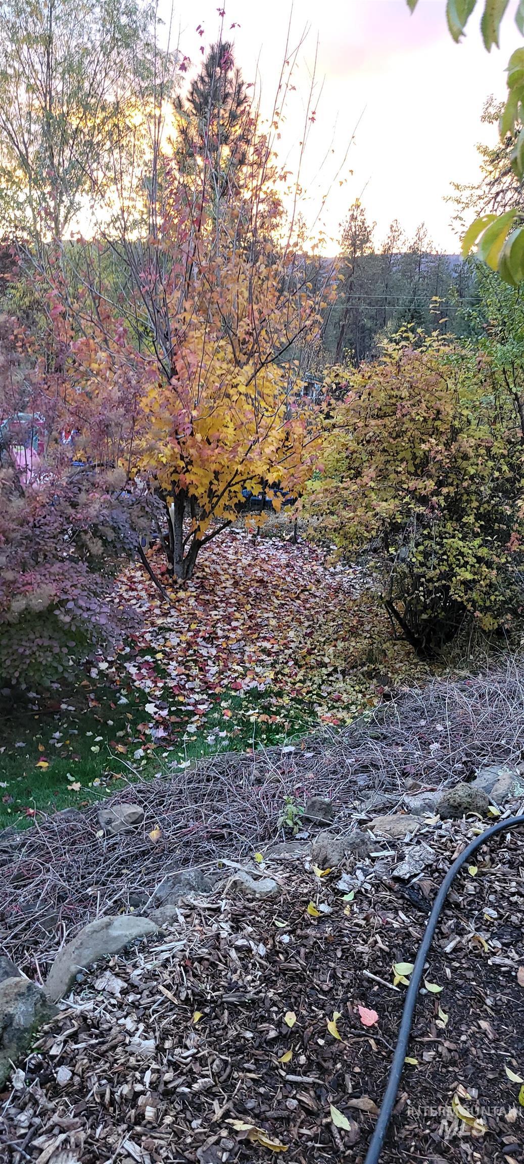 204 Larradon Dr, Kamiah, Idaho 83536, 4 Bedrooms, 2 Bathrooms, Residential For Sale, Price $420,000,MLS 98967618