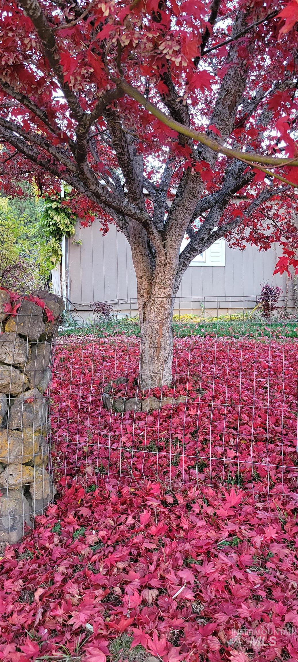 204 Larradon Dr, Kamiah, Idaho 83536, 4 Bedrooms, 2 Bathrooms, Residential For Sale, Price $420,000,MLS 98967618