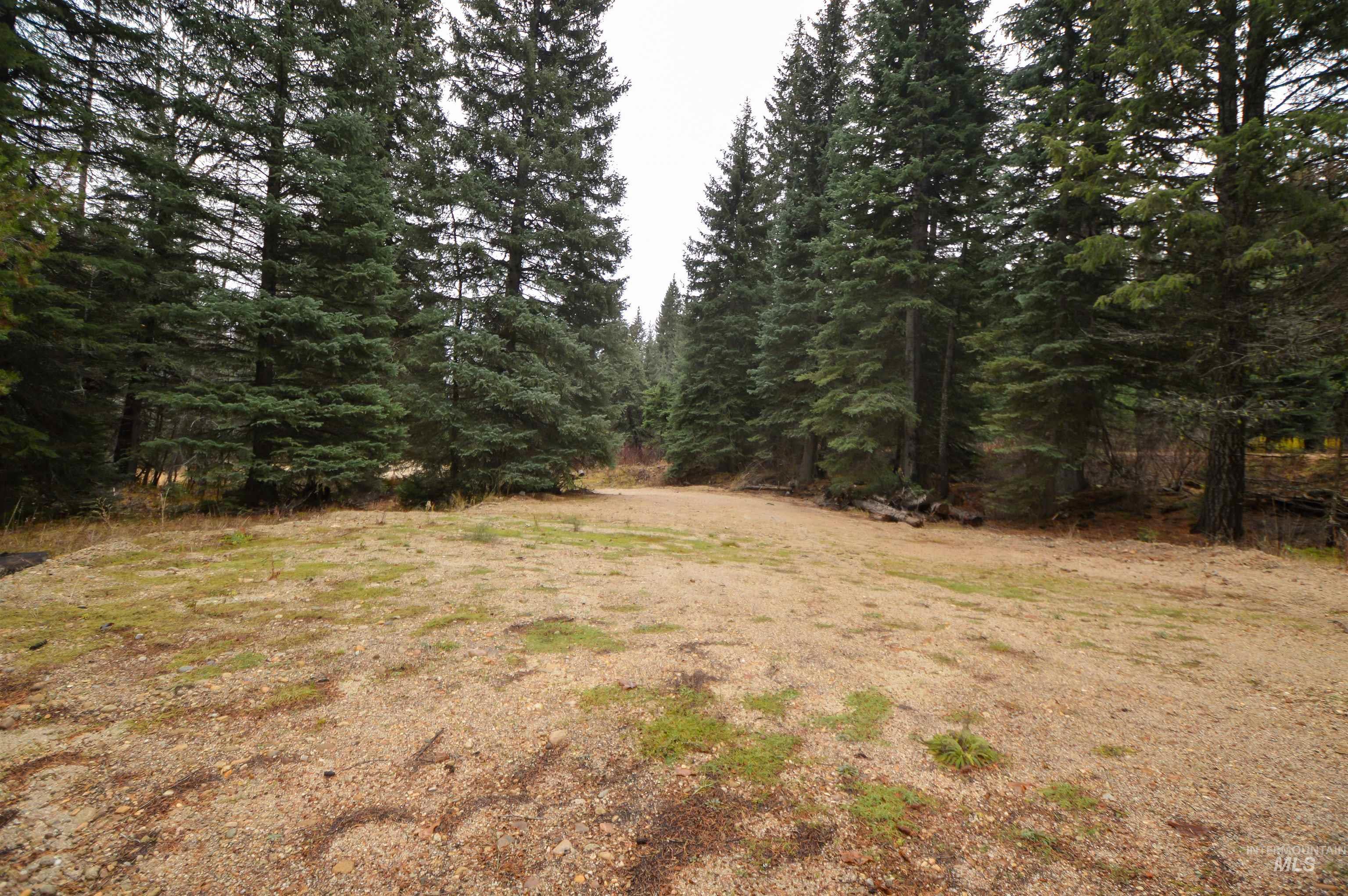 TBD No Business Road, Donnelly, Idaho 83615, Land For Sale, Price $350,000,MLS 98967674