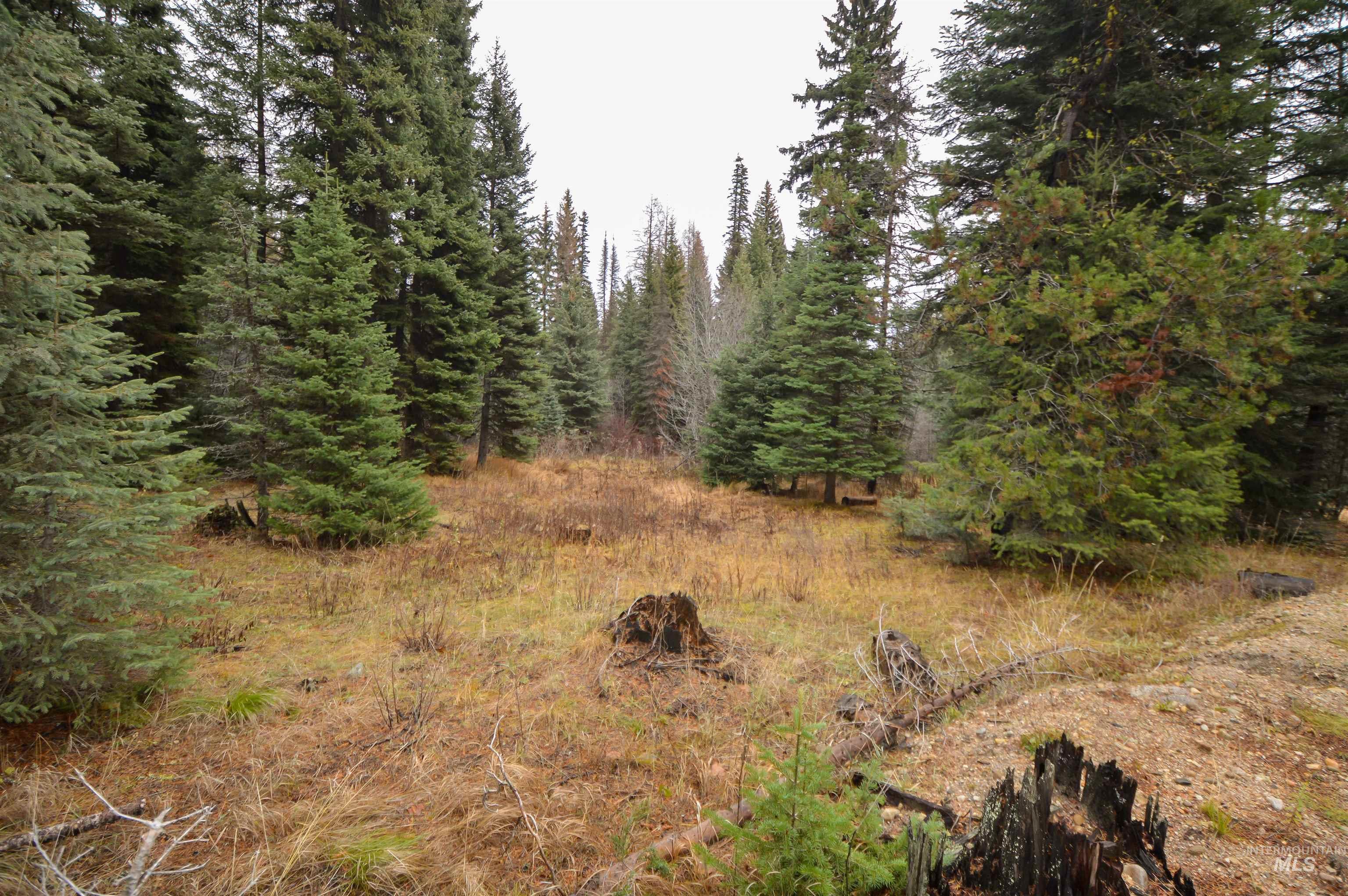 TBD No Business Road, Donnelly, Idaho 83615, Land For Sale, Price $350,000,MLS 98967674