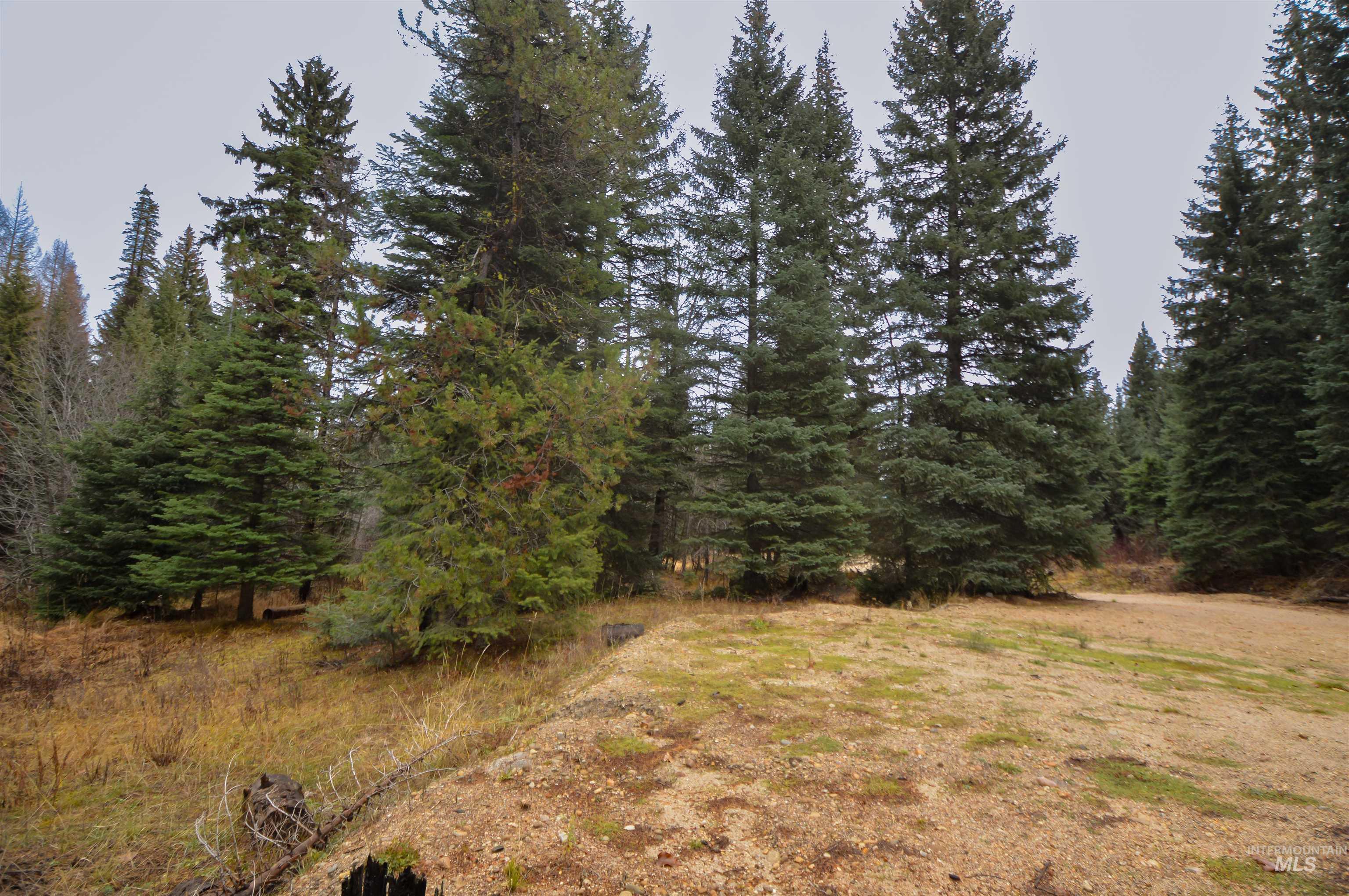 TBD No Business Road, Donnelly, Idaho 83615, Land For Sale, Price $350,000,MLS 98967674