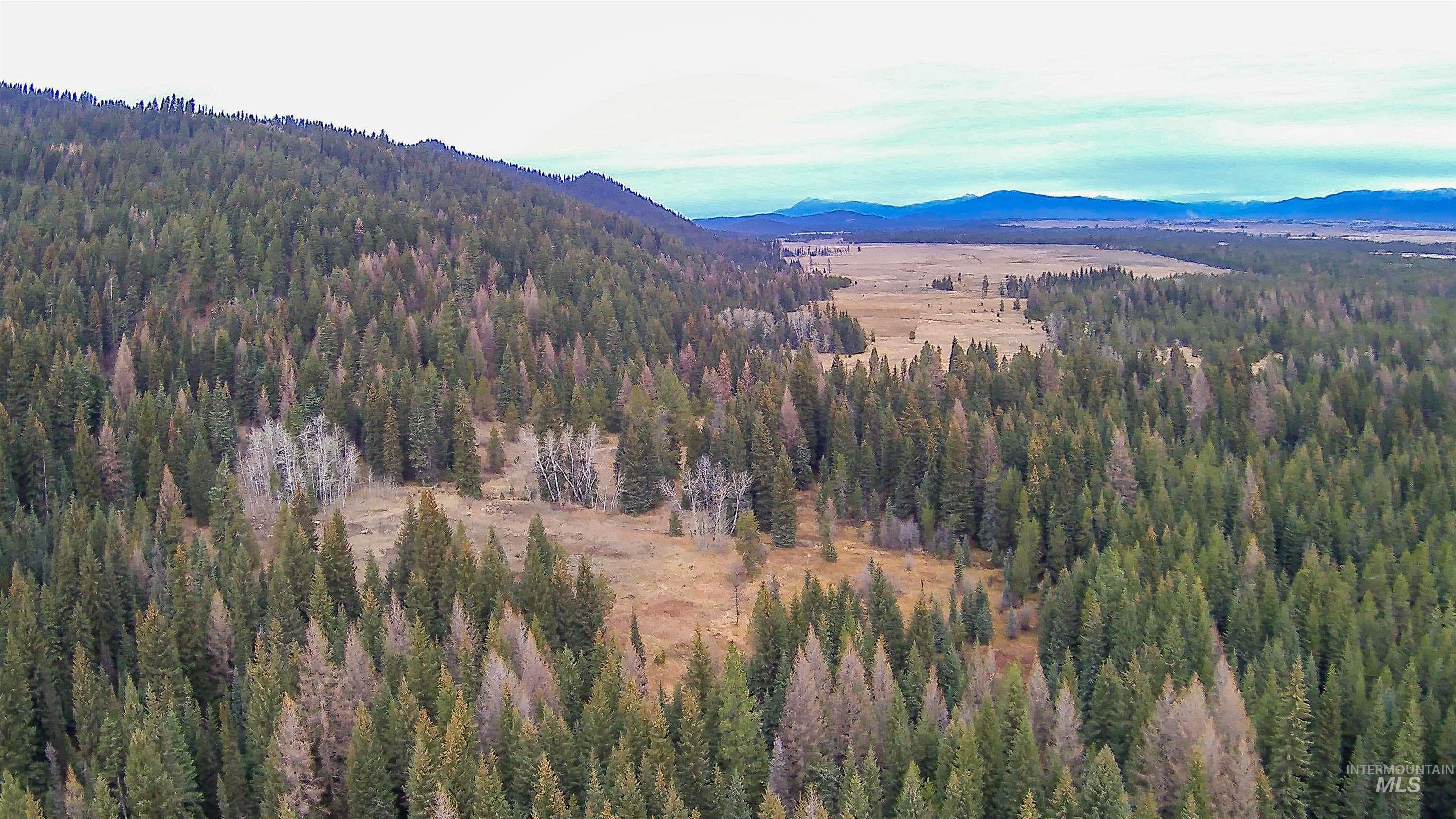 TBD No Business Road, Donnelly, Idaho 83615, Land For Sale, Price $350,000,MLS 98967674