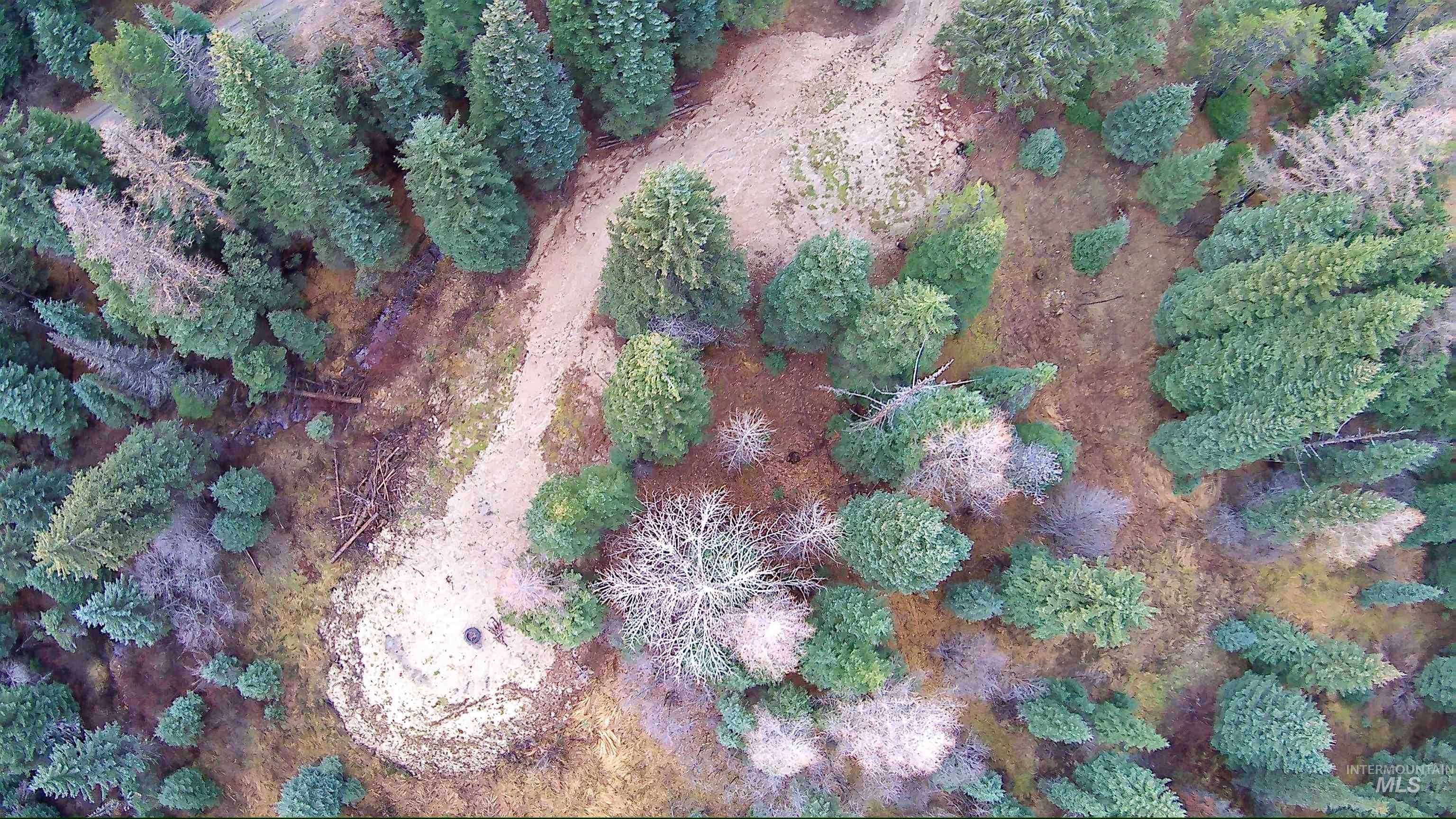 TBD No Business Road, Donnelly, Idaho 83615, Land For Sale, Price $350,000,MLS 98967674