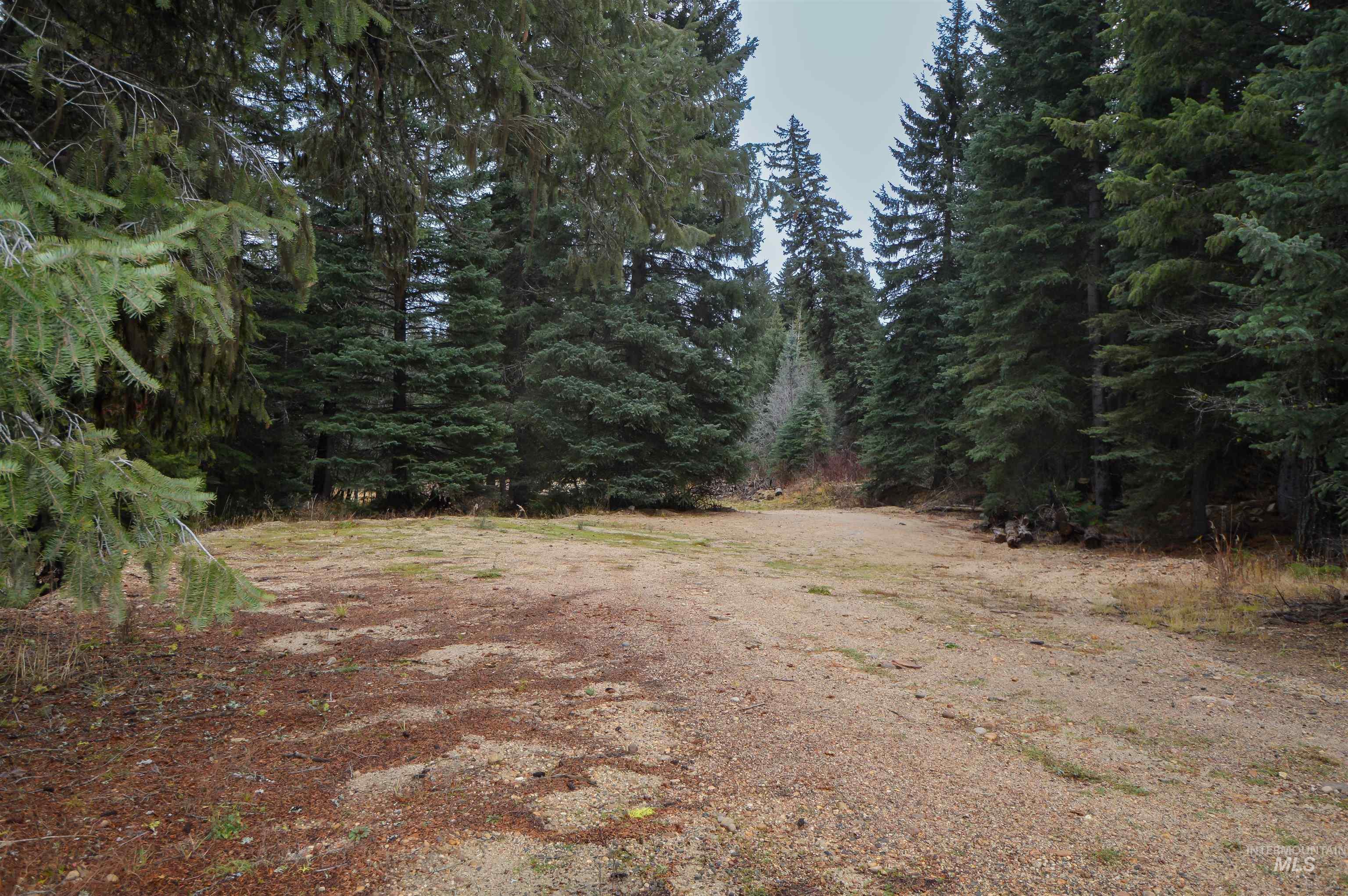 TBD No Business Road, Donnelly, Idaho 83615, Land For Sale, Price $350,000,MLS 98967674