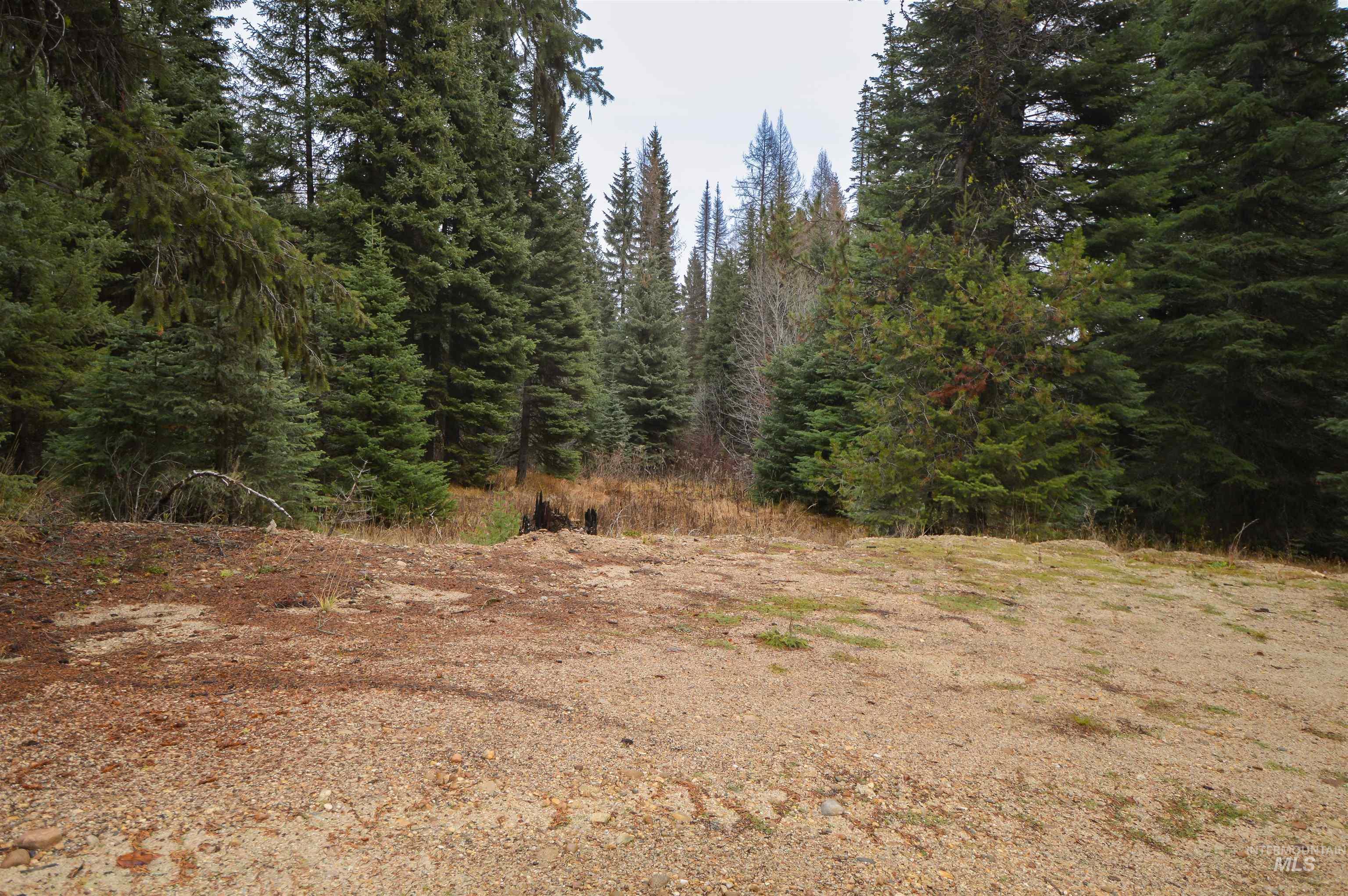 TBD No Business Road, Donnelly, Idaho 83615, Land For Sale, Price $350,000,MLS 98967674