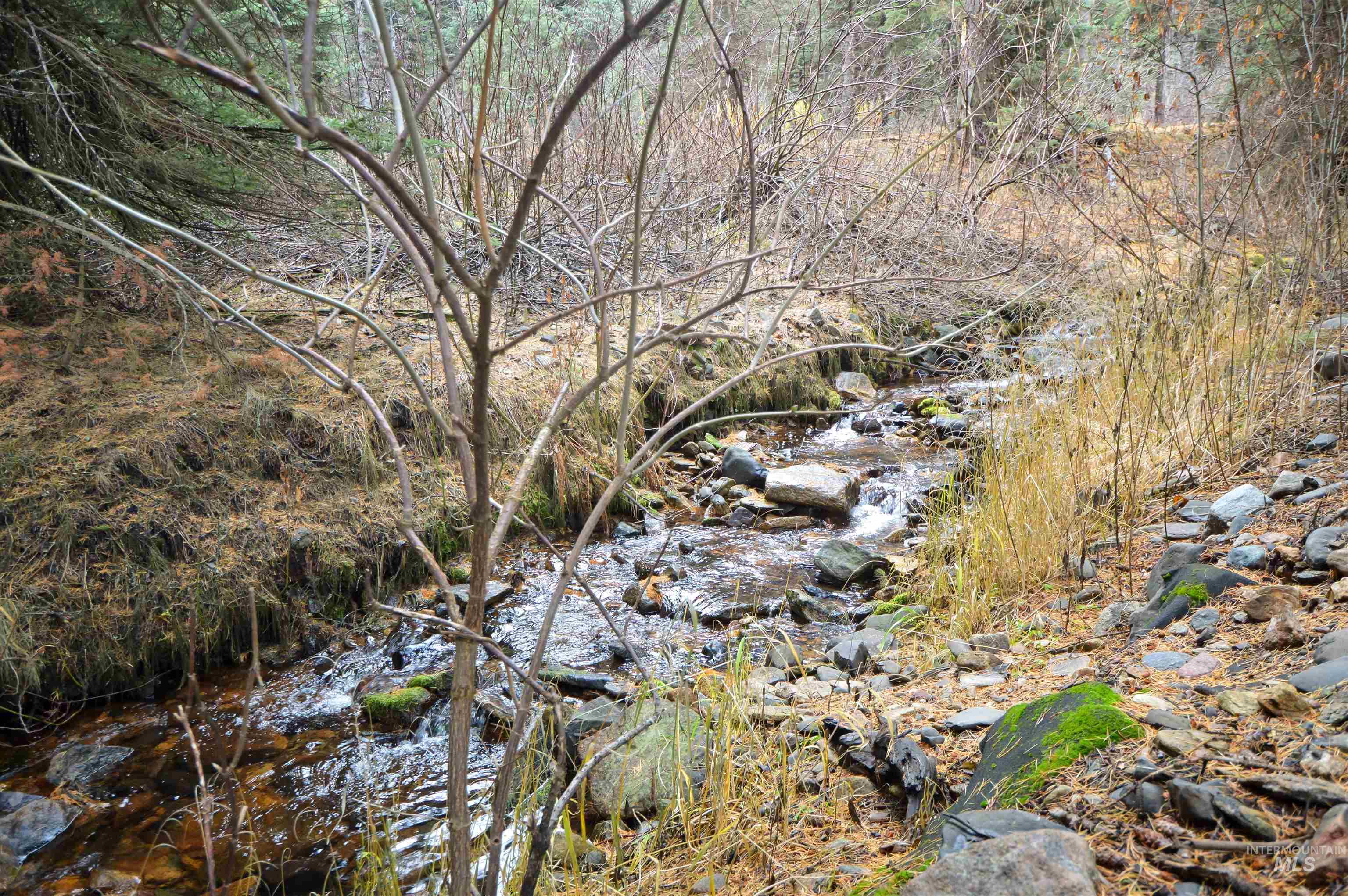 TBD No Business Road, Donnelly, Idaho 83615, Land For Sale, Price $350,000,MLS 98967674