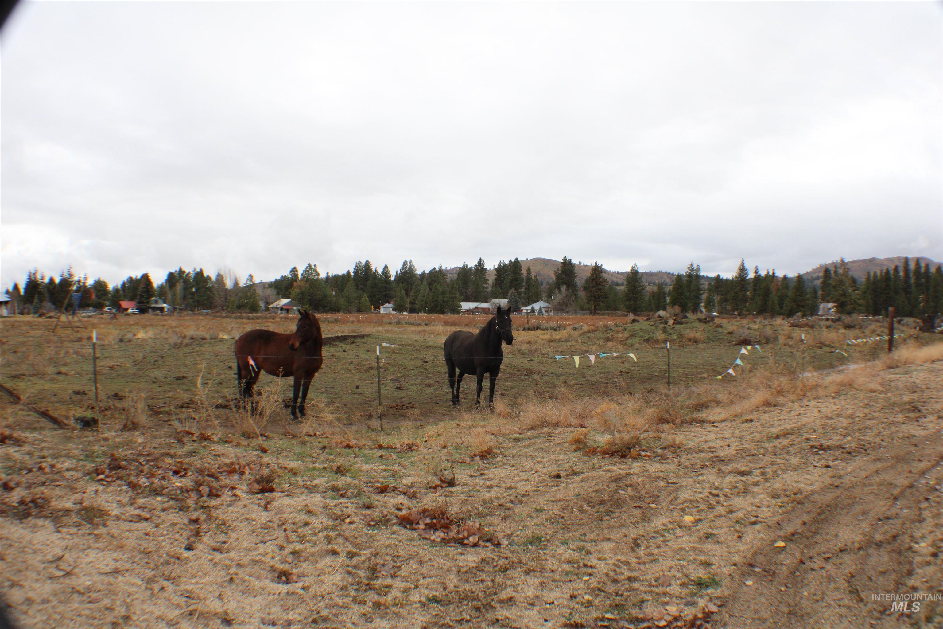 200 E Prairie Road, Prairie, Idaho 83647, 3 Bedrooms, 2.5 Bathrooms, Residential For Sale, Price $500,000, 98967675