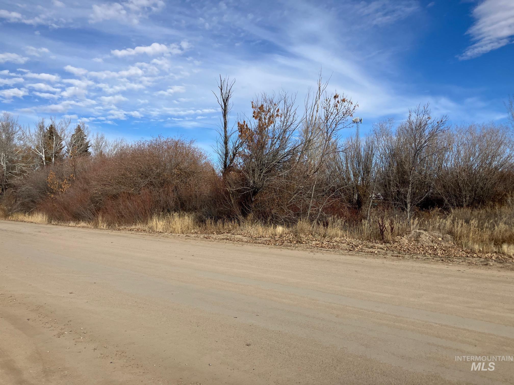View of dirt / gravel road