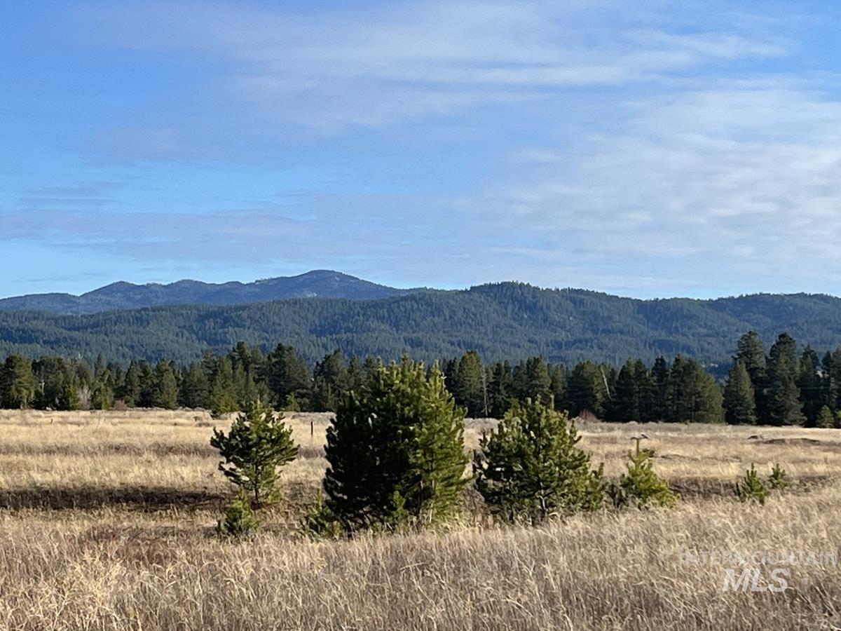 16 & 18 Loomis Lane, Donnelly, Idaho 83615, Land For Sale, Price $868,000,MLS 98967786