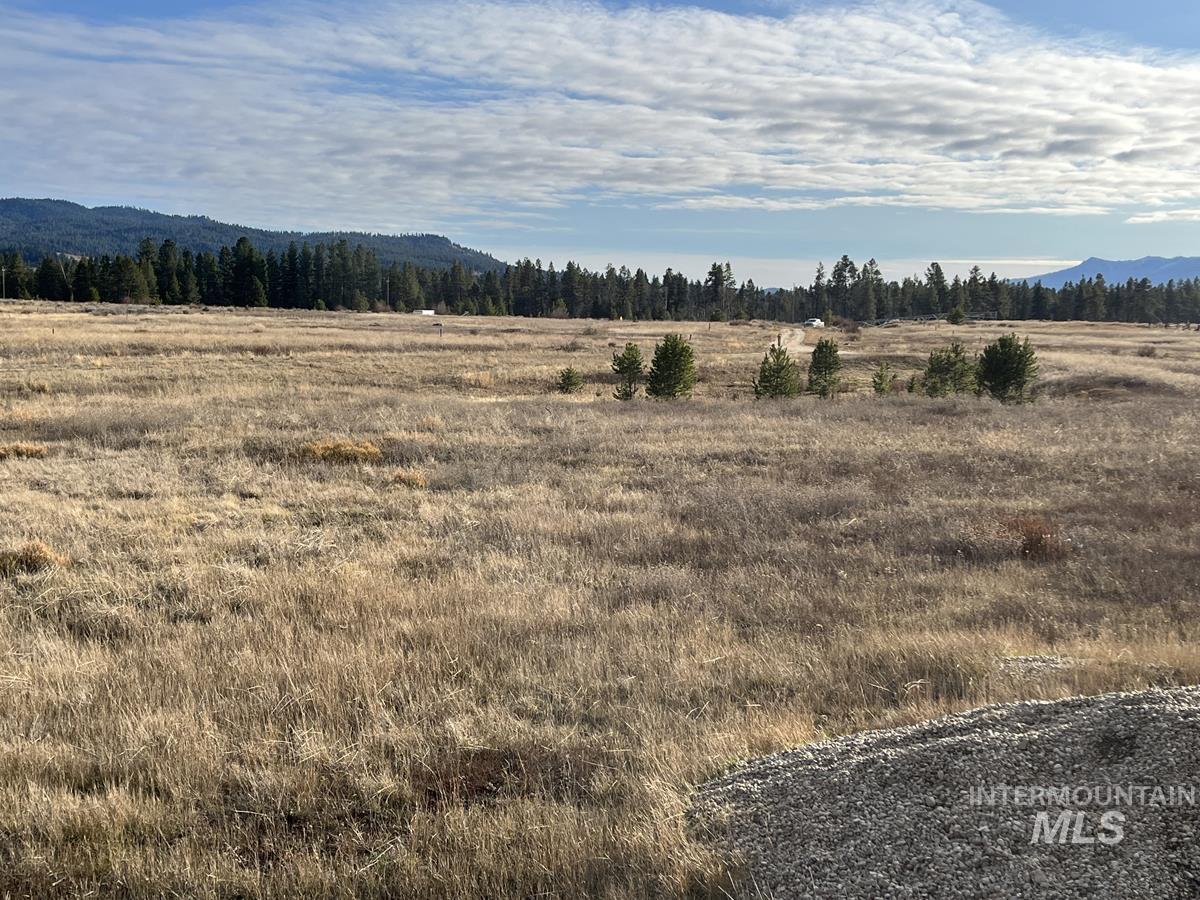 16 & 18 Loomis Lane, Donnelly, Idaho 83615, Land For Sale, Price $868,000,MLS 98967786