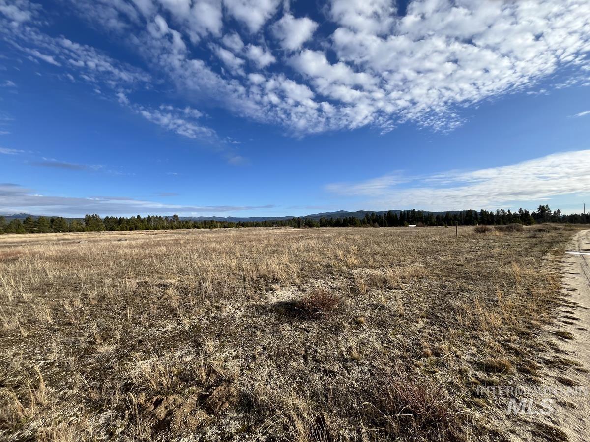 16 & 18 Loomis Lane, Donnelly, Idaho 83615, Land For Sale, Price $868,000,MLS 98967786
