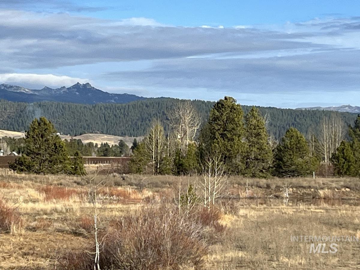 16 & 18 Loomis Lane, Donnelly, Idaho 83615, Land For Sale, Price $868,000,MLS 98967786