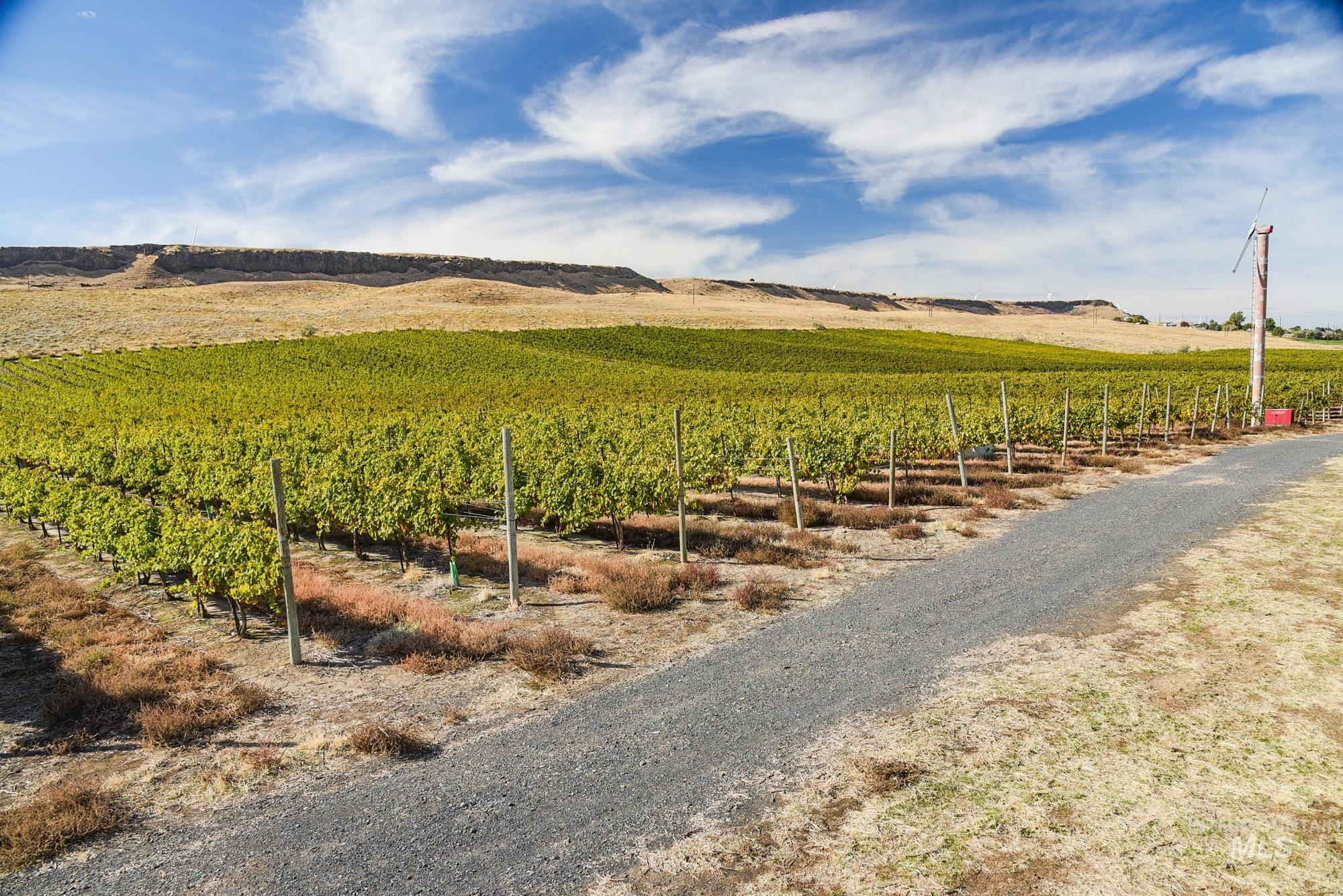 Farm & Ranch For Sale