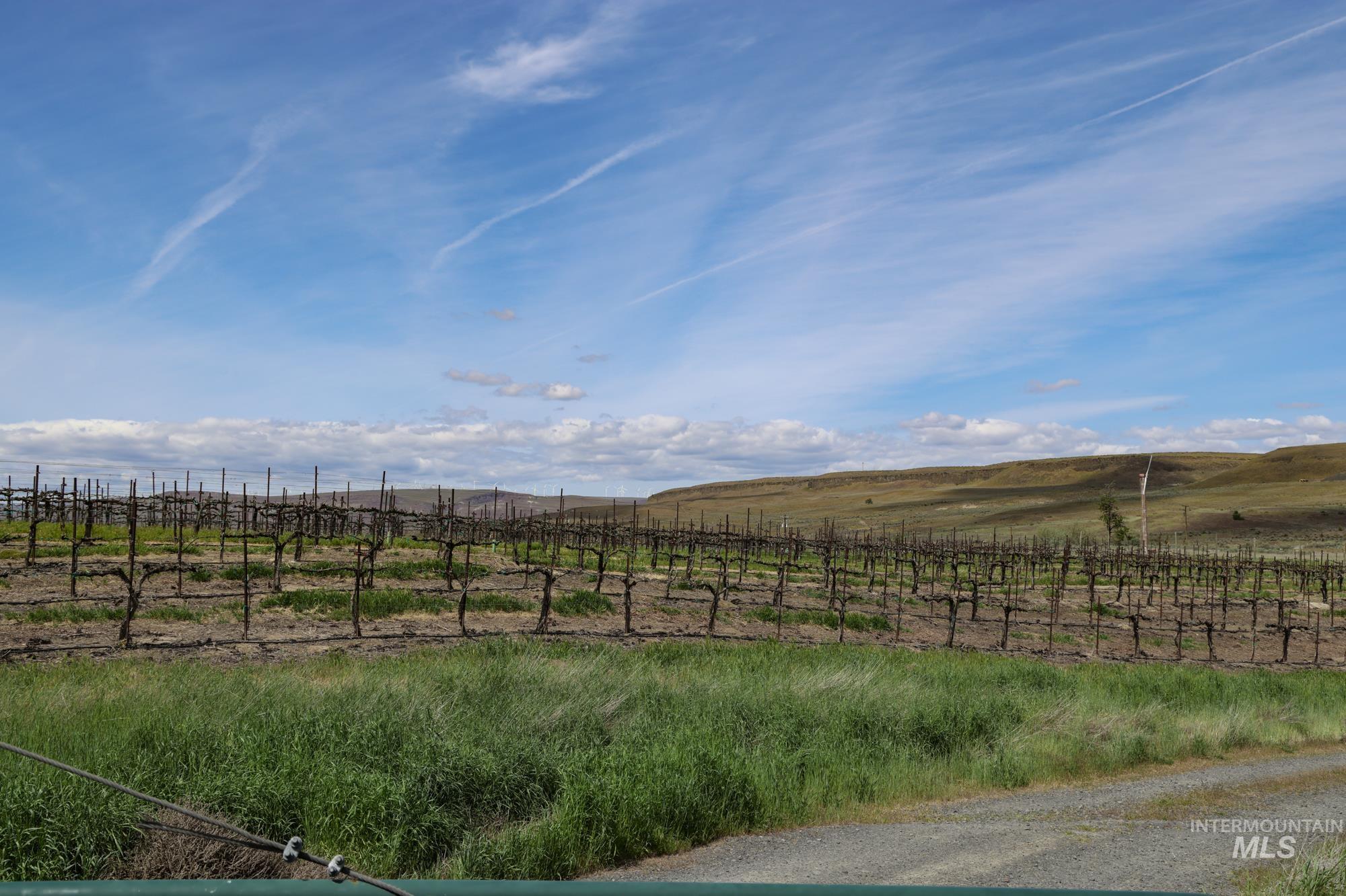 73809 Rattlesnake Road, Arlington, Idaho 97812, Farm & Ranch For Sale, Price $1,MLS 98967799