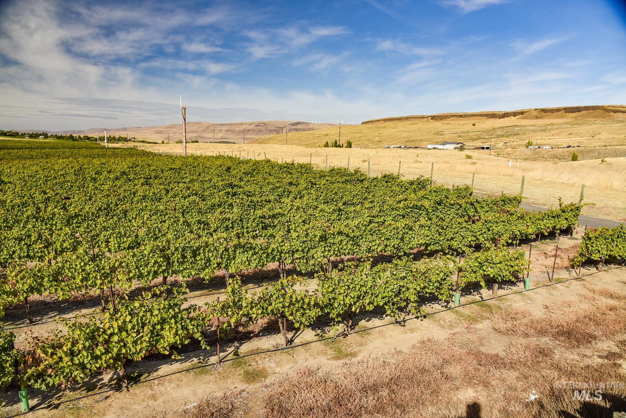 73809 Rattlesnake Road, Arlington, Idaho 97812, Farm & Ranch For Sale, Price $1,MLS 98967799