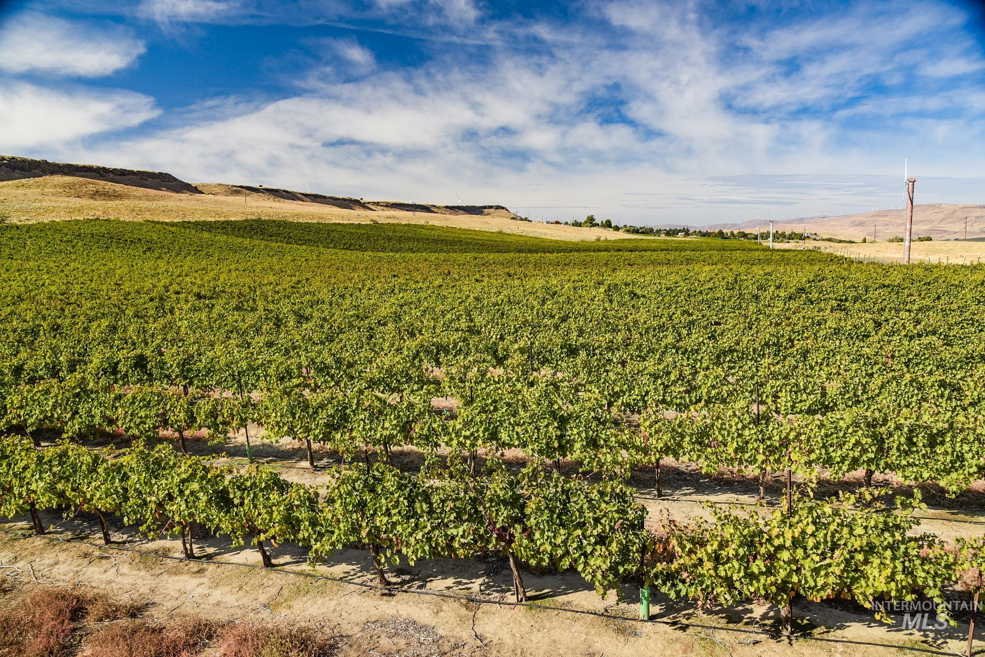 73809 Rattlesnake Road, Arlington, Idaho 97812, Farm & Ranch For Sale, Price $1,MLS 98967799