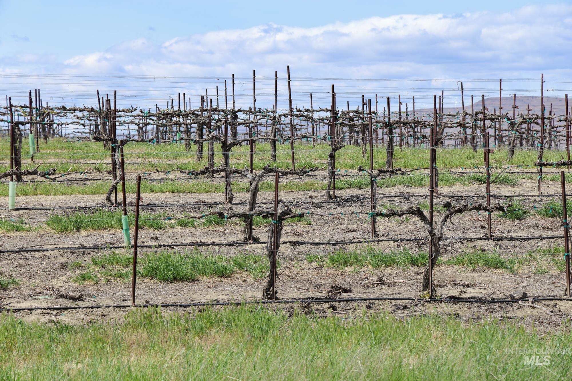 73809 Rattlesnake Road, Arlington, Idaho 97812, Farm & Ranch For Sale, Price $1,MLS 98967799
