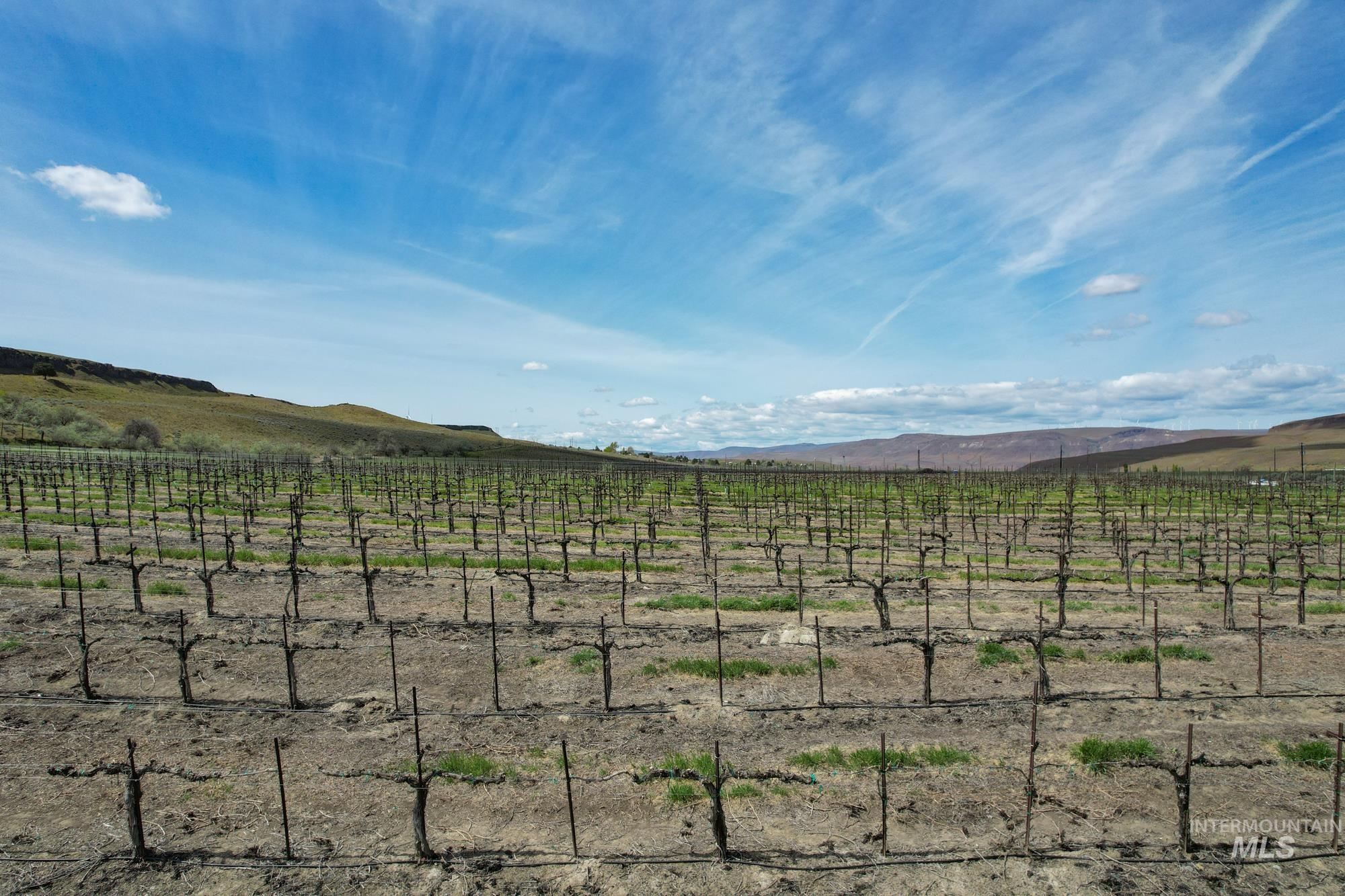 73809 Rattlesnake Road, Arlington, Idaho 97812, Farm & Ranch For Sale, Price $1,MLS 98967799