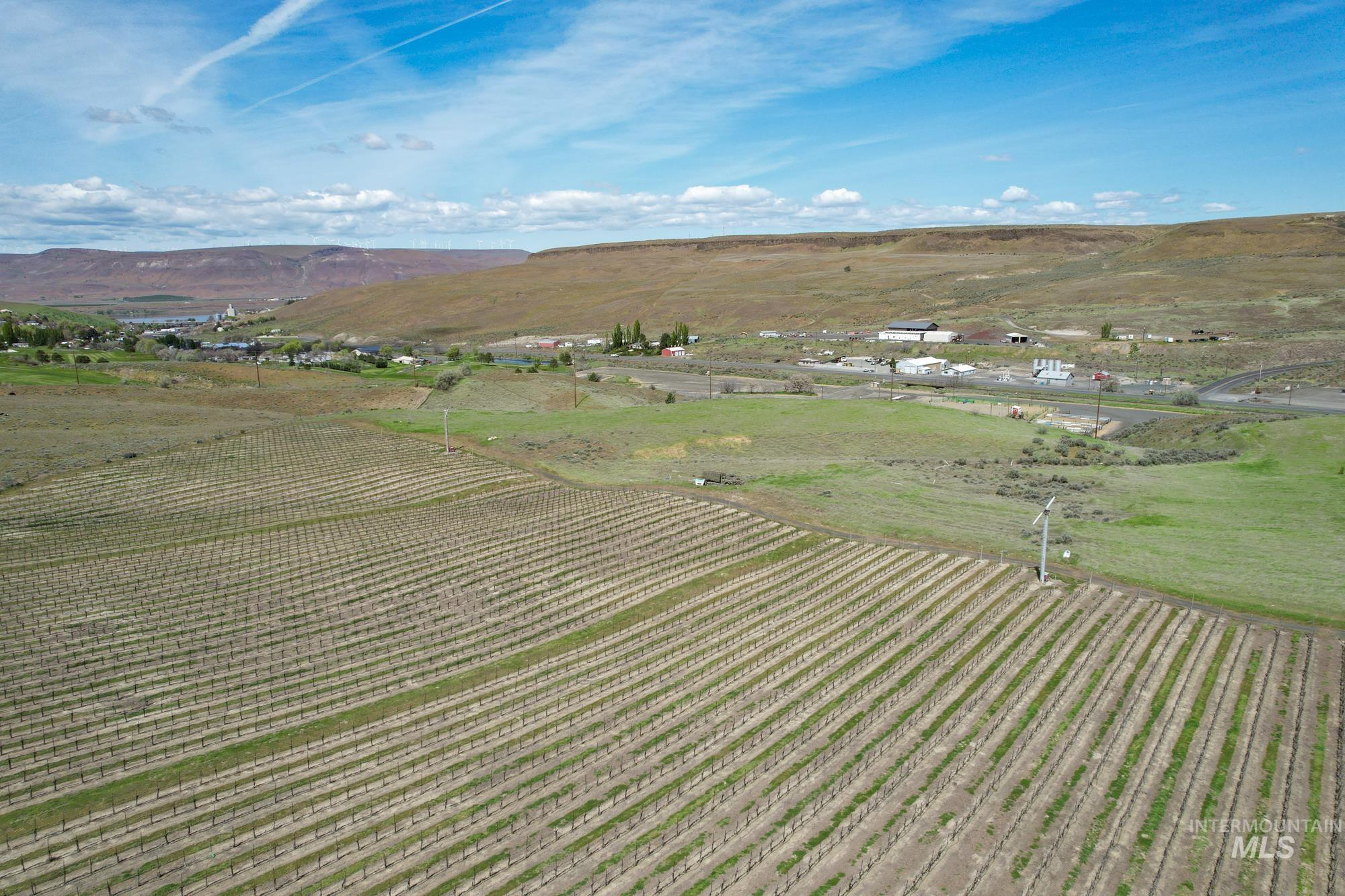 73809 Rattlesnake Road, Arlington, Idaho 97812, Farm & Ranch For Sale, Price $1,MLS 98967799