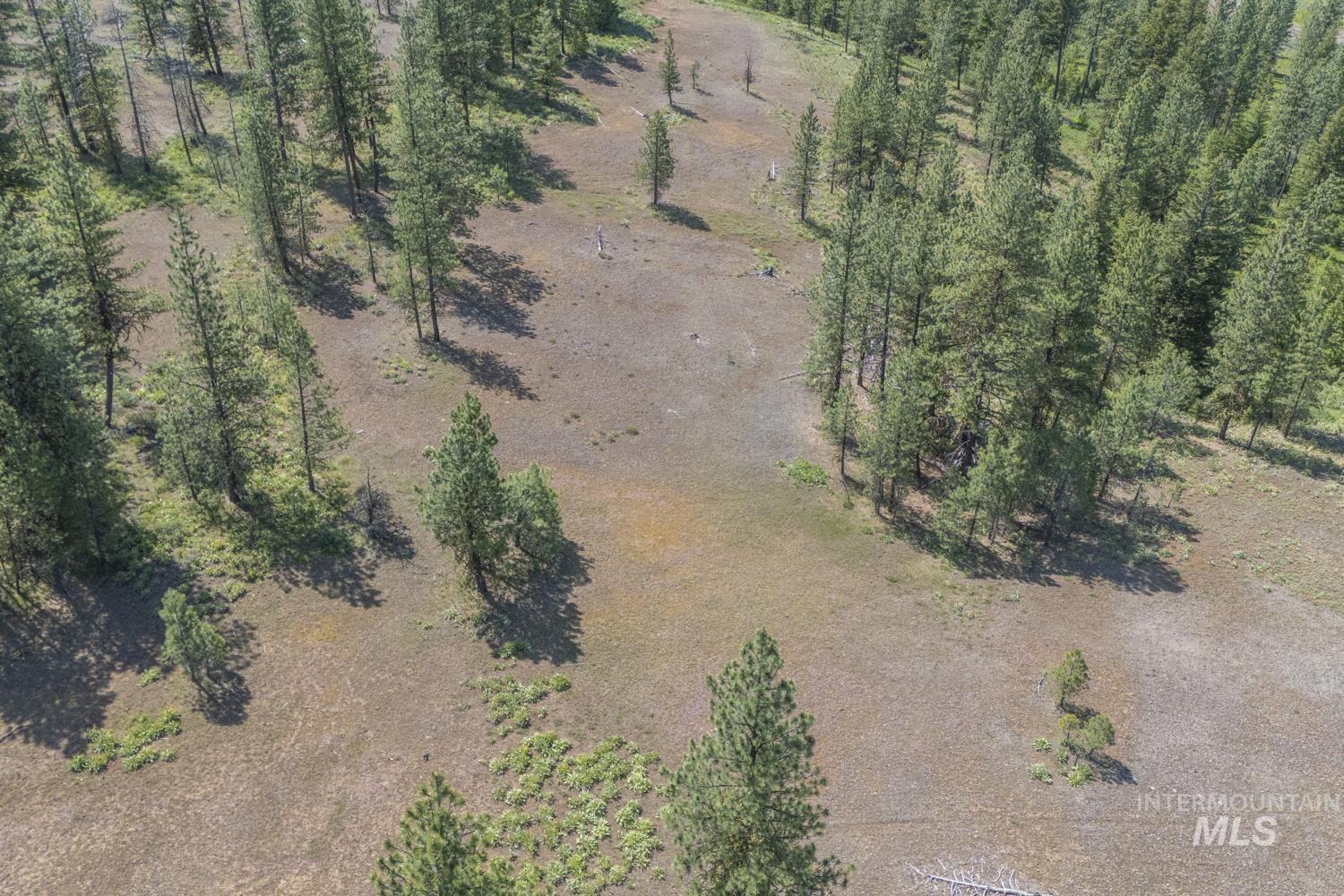 TBD1 US-95, New Meadows, Idaho 83654, Land For Sale, Price $8,892,000,MLS 98967830