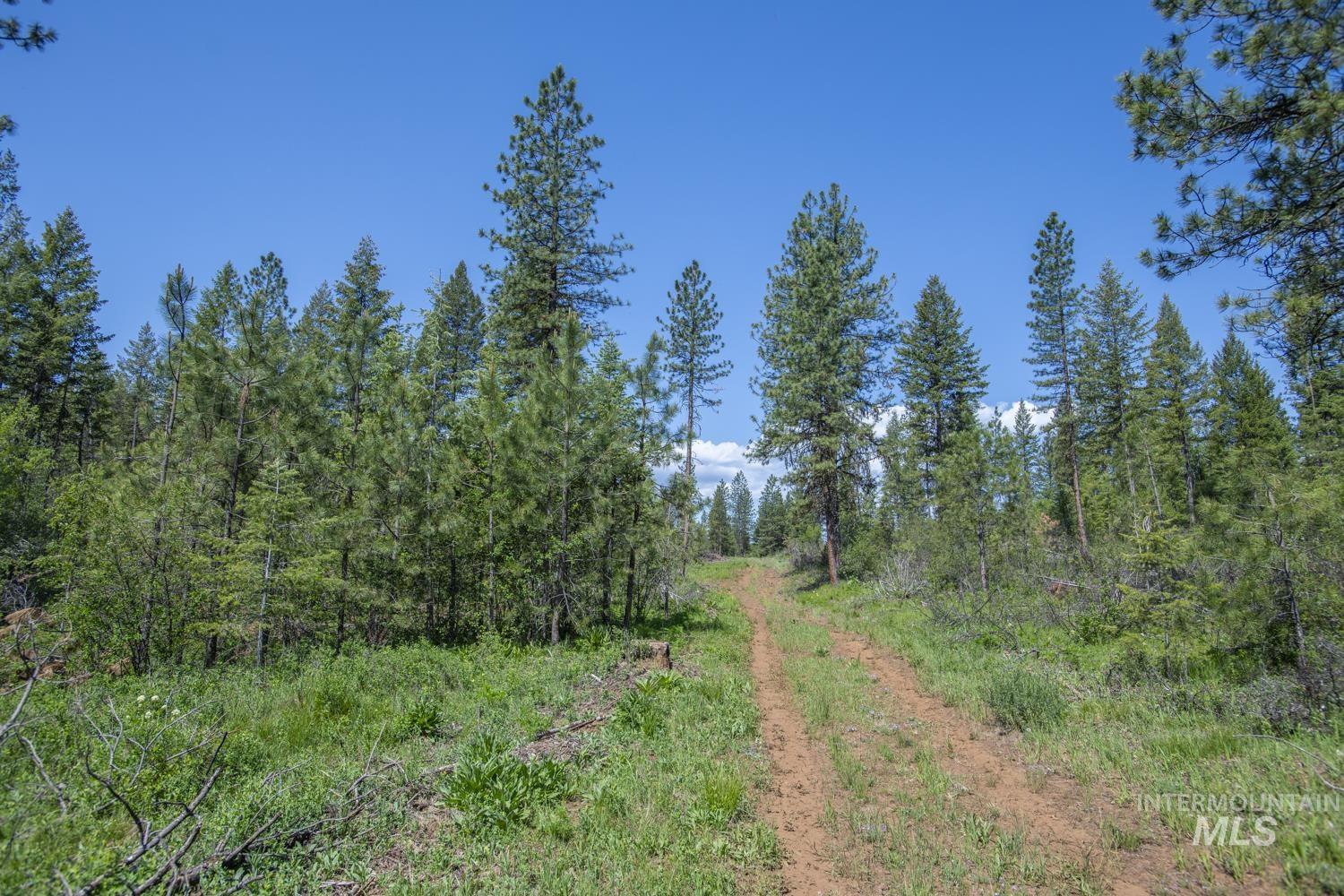 TBD1 US-95, New Meadows, Idaho 83654, Land For Sale, Price $8,892,000,MLS 98967830