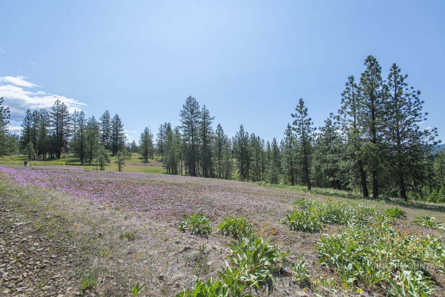 TBD1 US-95, New Meadows, Idaho 83654, Land For Sale, Price $8,892,000,MLS 98967830