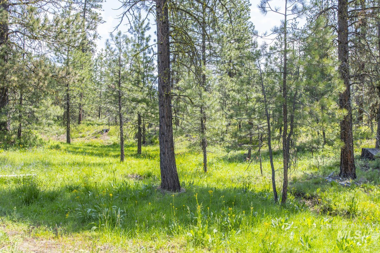 TBD1 US-95, New Meadows, Idaho 83654, Land For Sale, Price $8,892,000,MLS 98967830